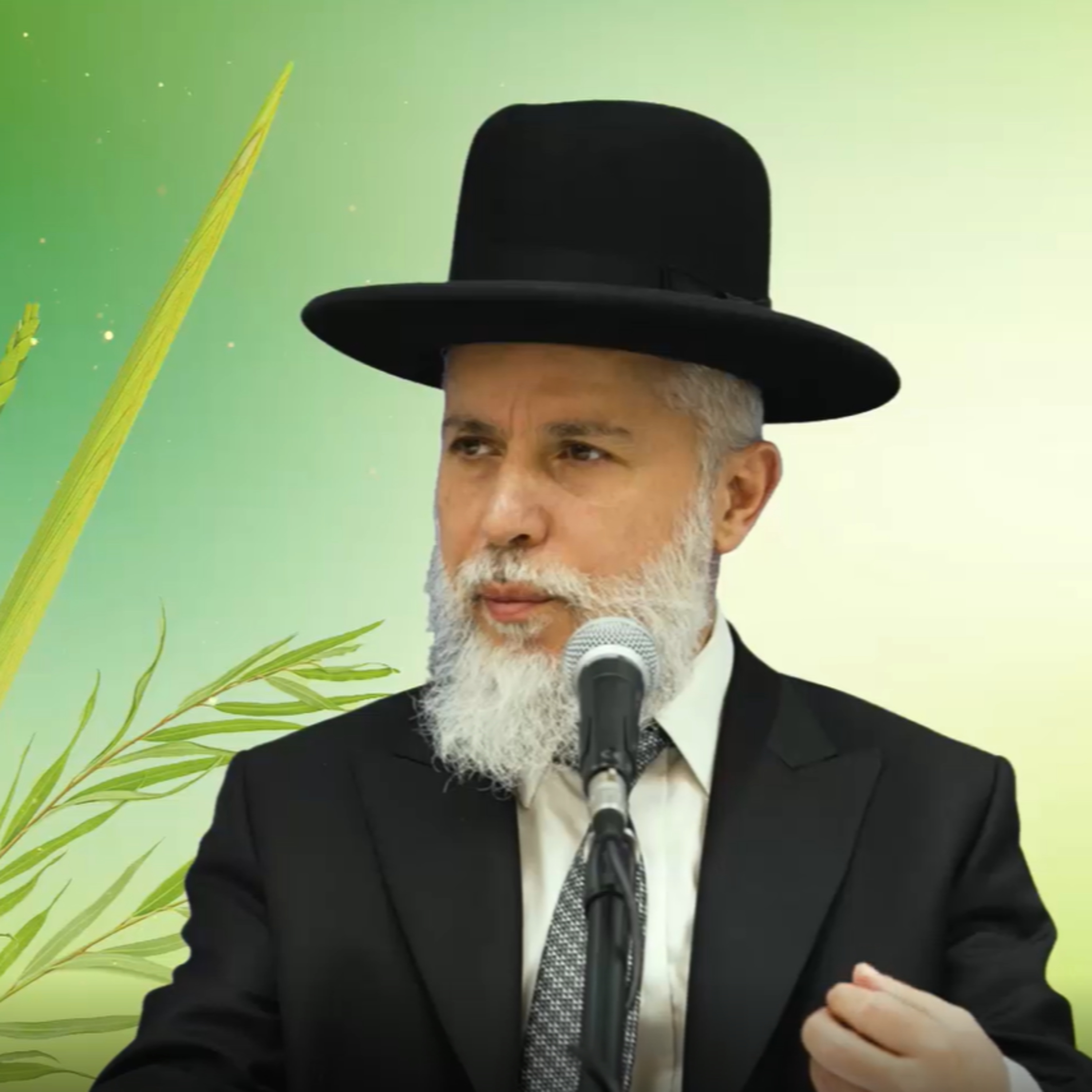 הרב זמיר כהן - סוד השמחה והצחוק: טיפים מחג הסוכות episode artwork