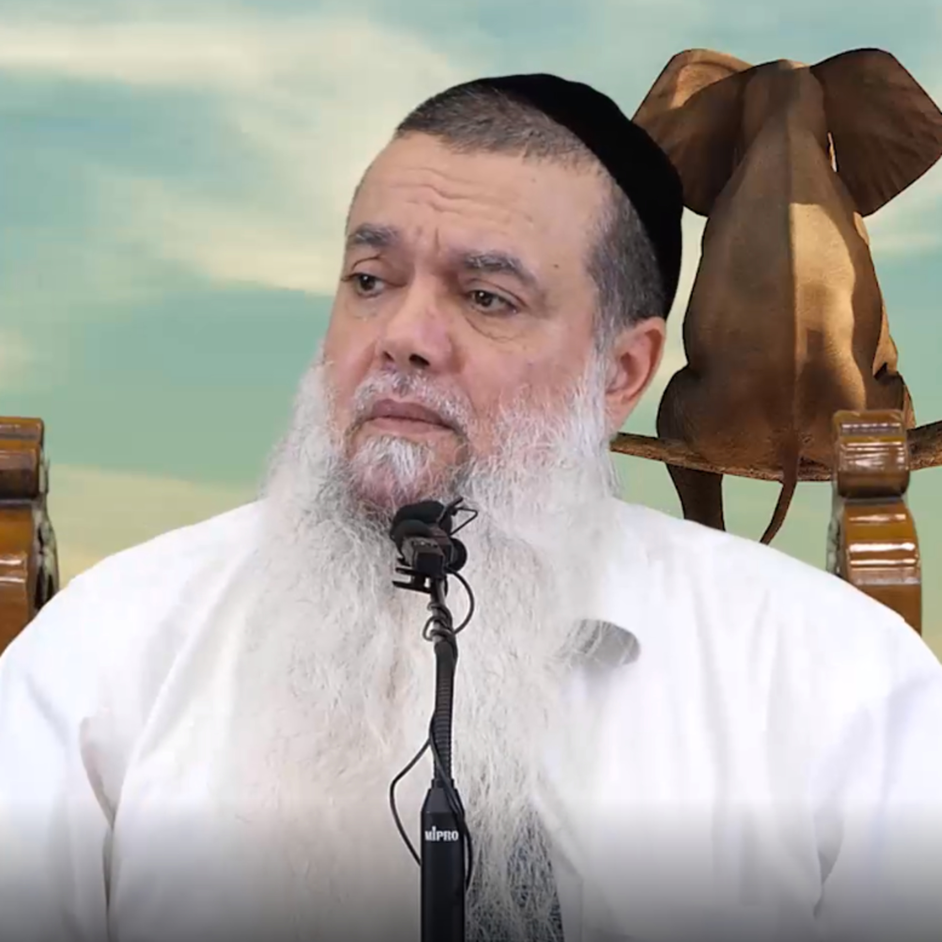 הרב יגאל כהן: מהי מטרת הלוחם? ועל מה כדאי להילחם? episode artwork