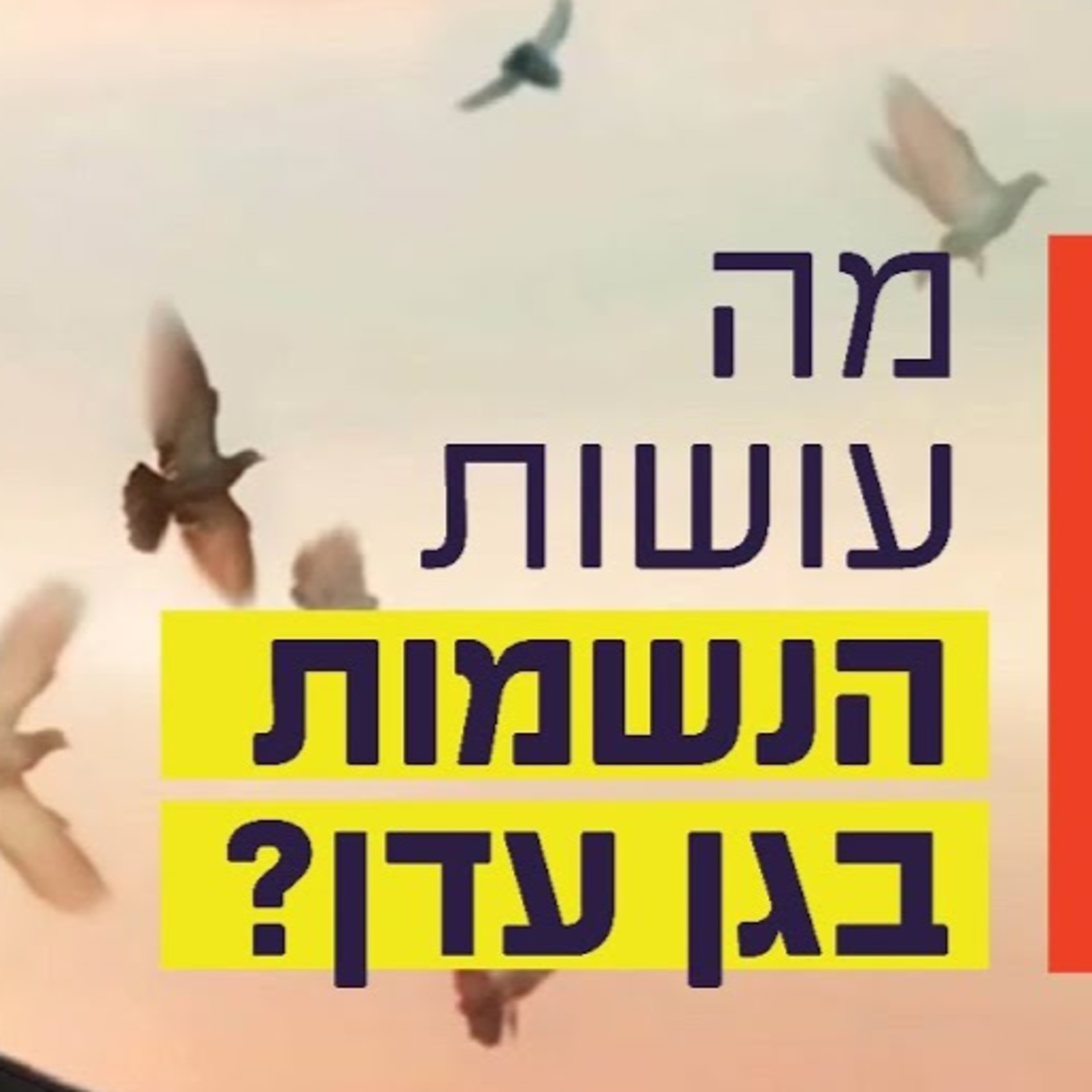 הרב זמיר כהן - מה עושות הנשמות בגן עדן? episode artwork