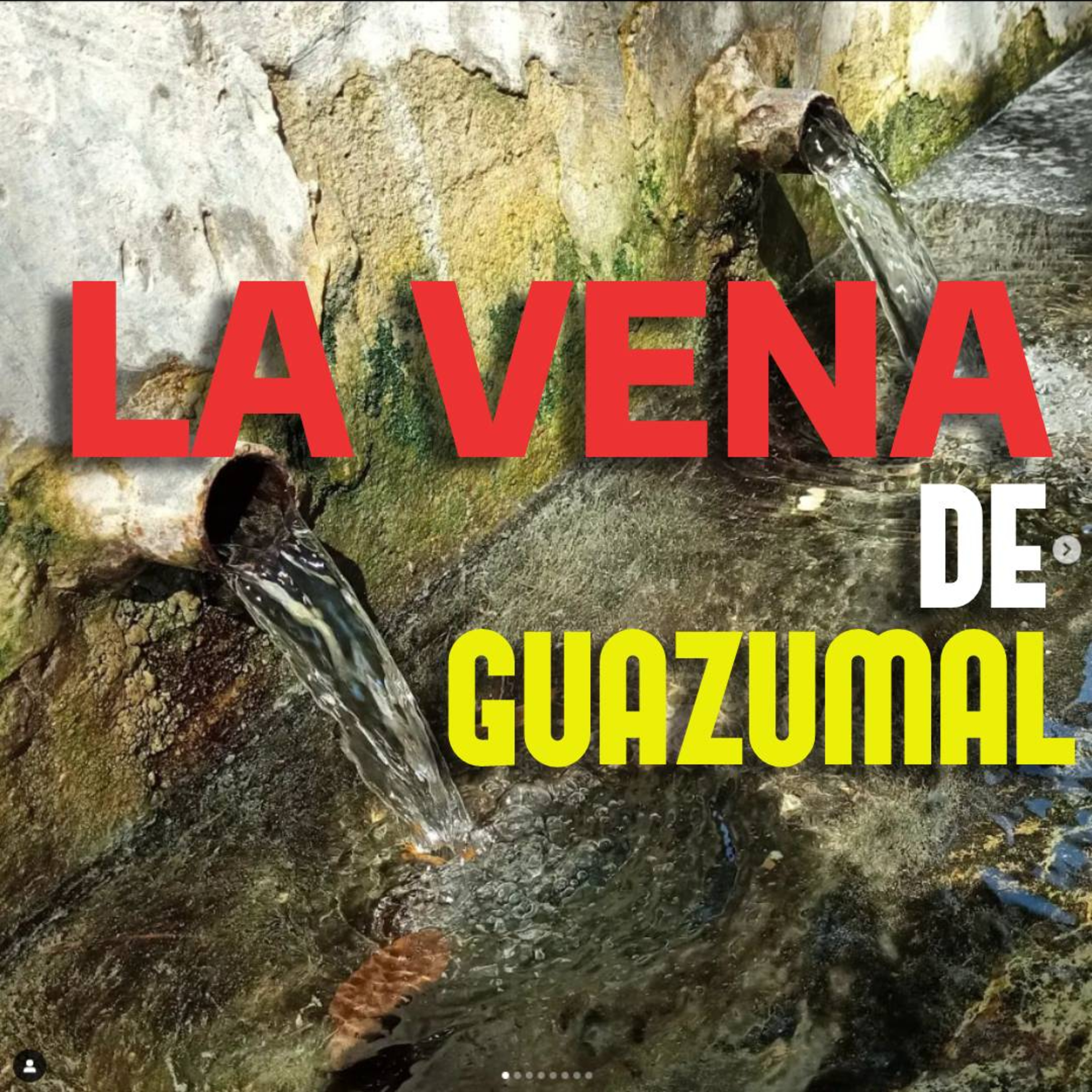 La vena de guazumal, tamboril episode artwork