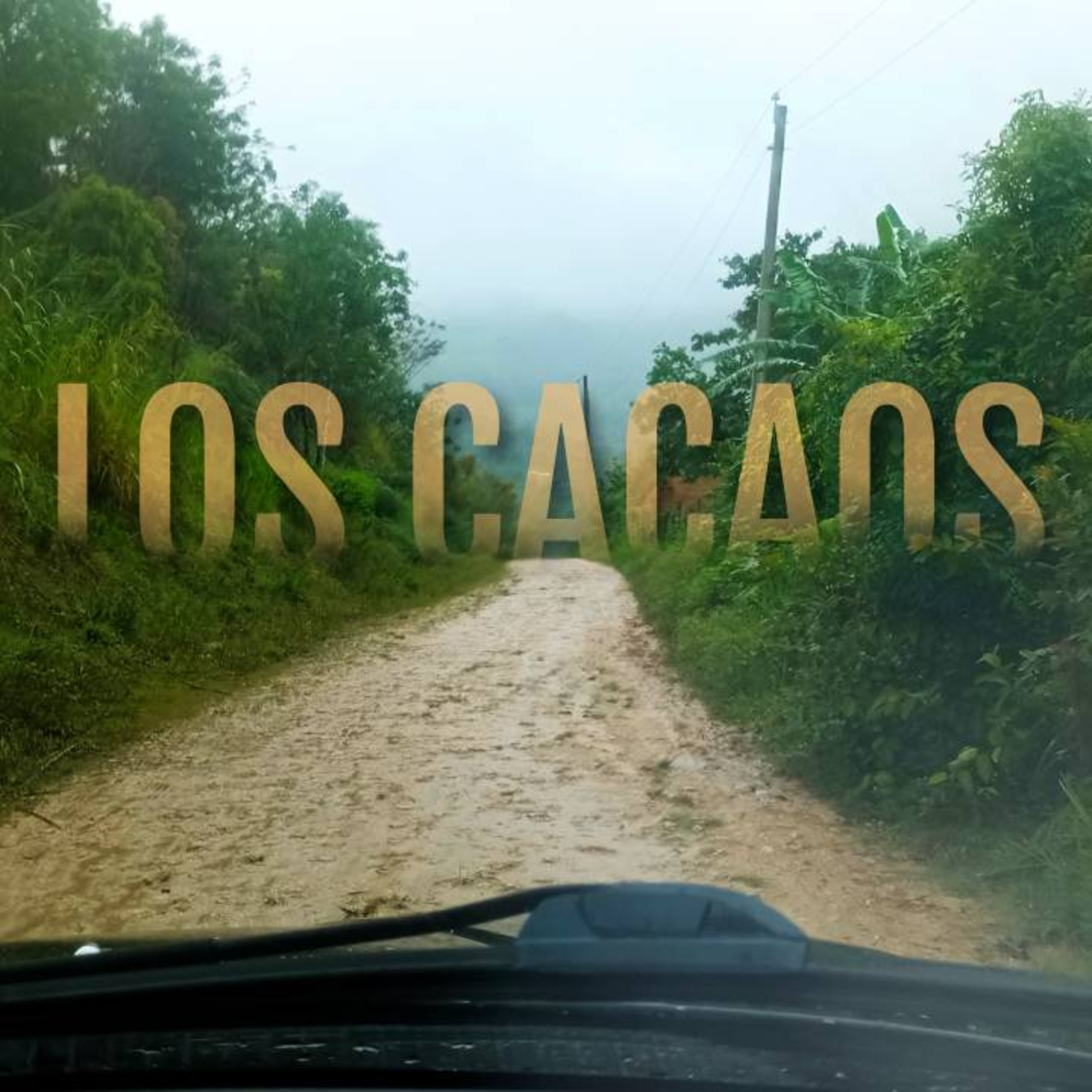Asi son los cacaos de tamboril, santiago 2 episode artwork