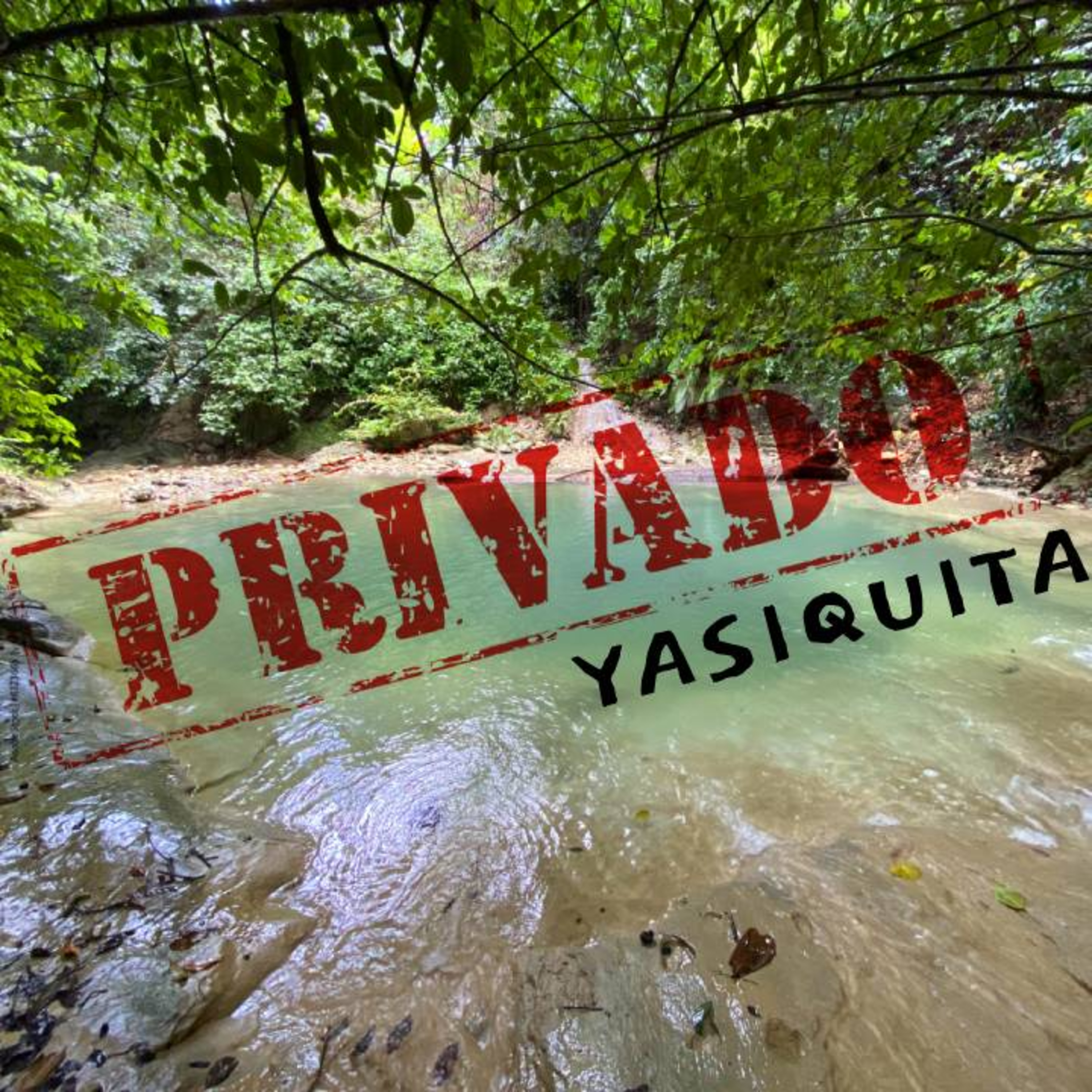 La privatizacion de yasiquita  episode artwork
