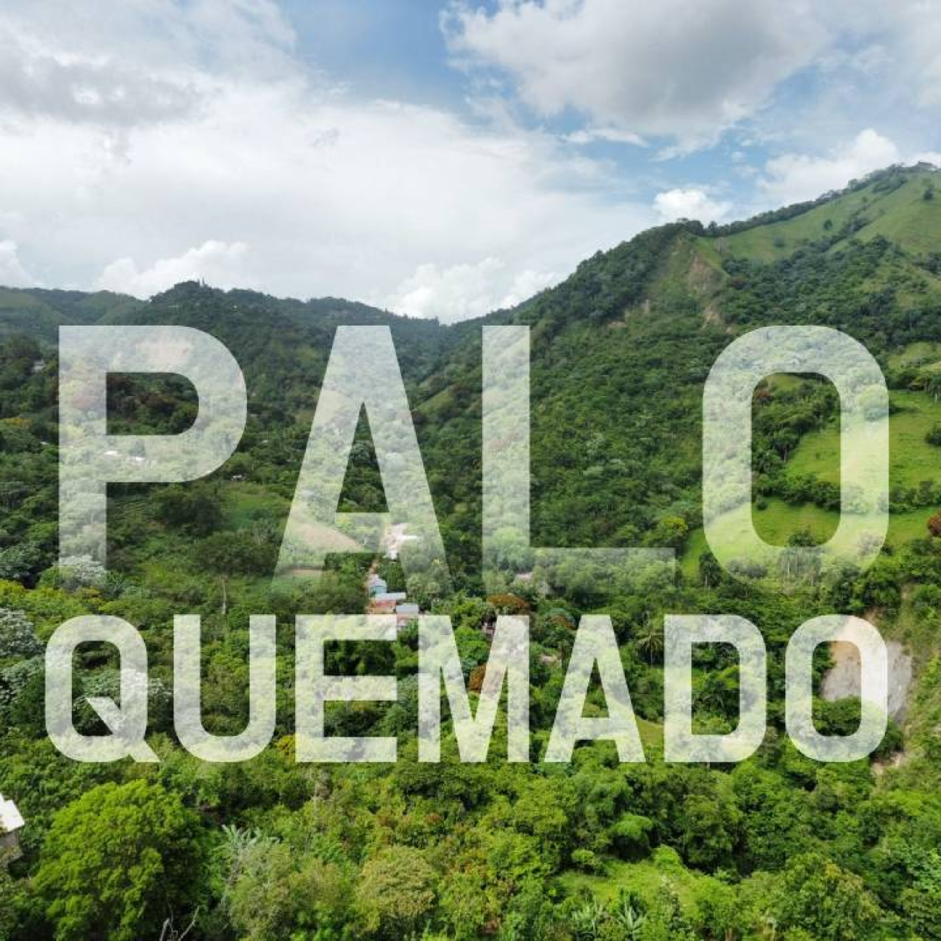 Palo quemado, Gurabo, Santiago episode artwork