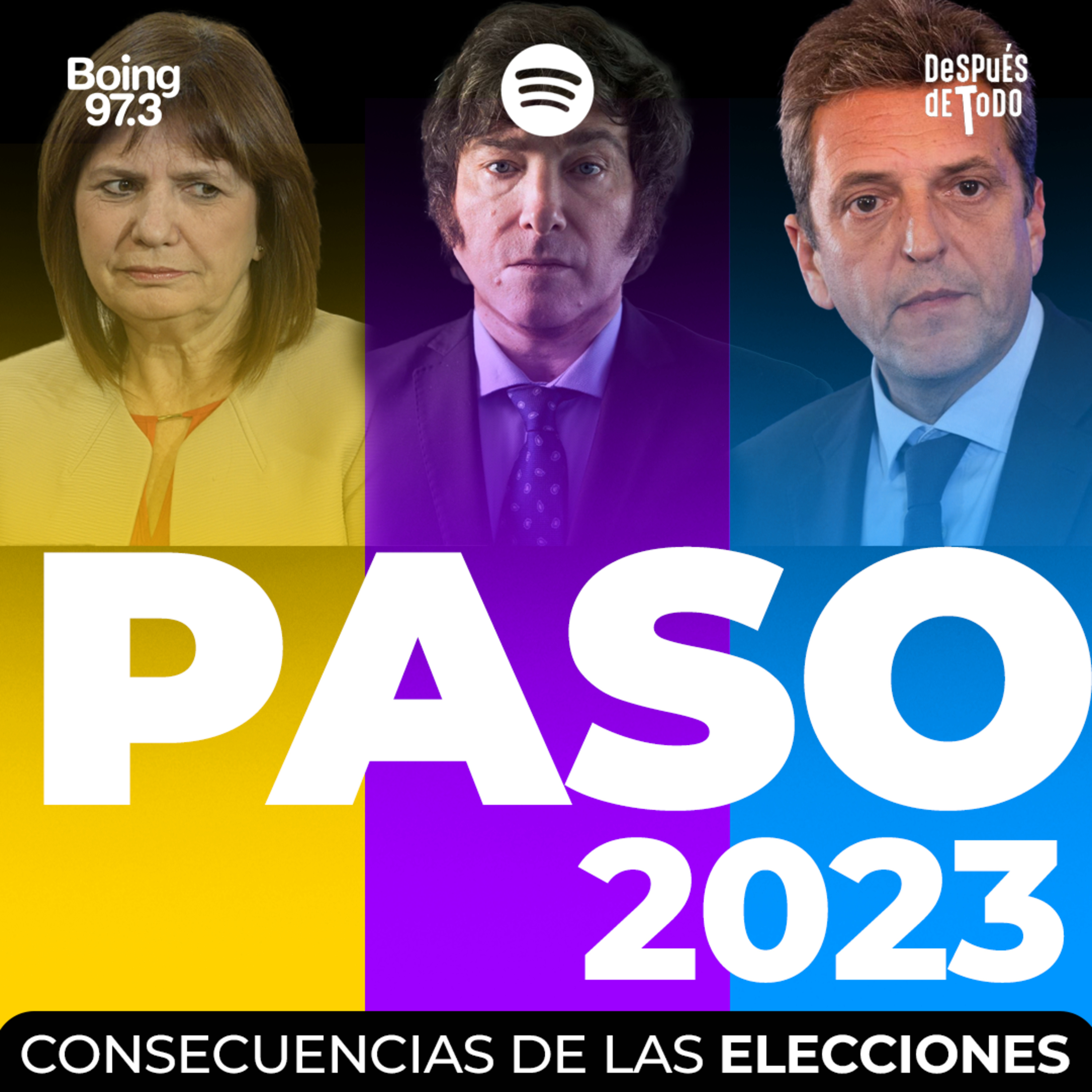 ELECCIONES PASO: consecuencias de la victoria de MILEI episode artwork