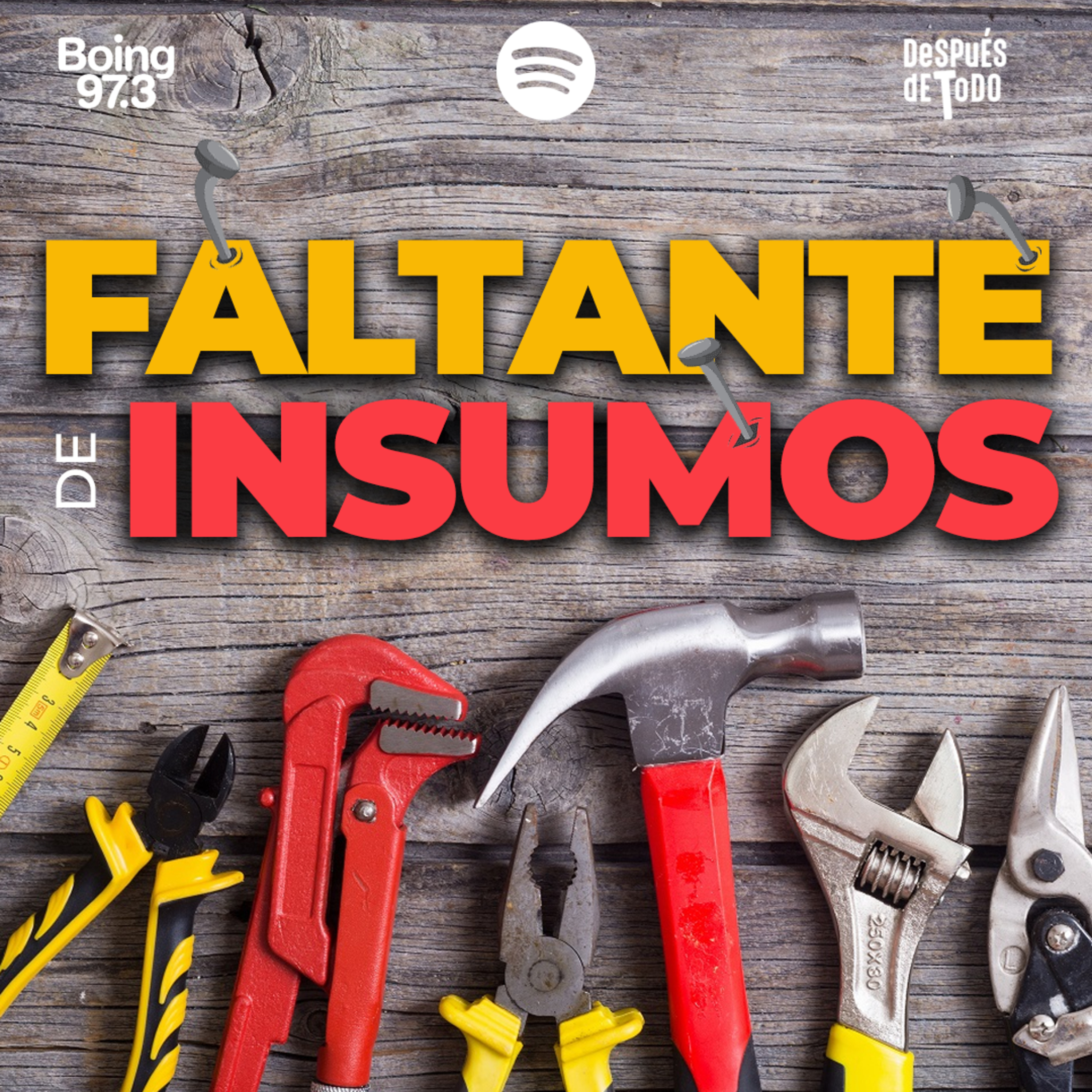 FALTANTE en INSUMOS tras las PASO y PREOCUPACIÓN en el sector episode artwork