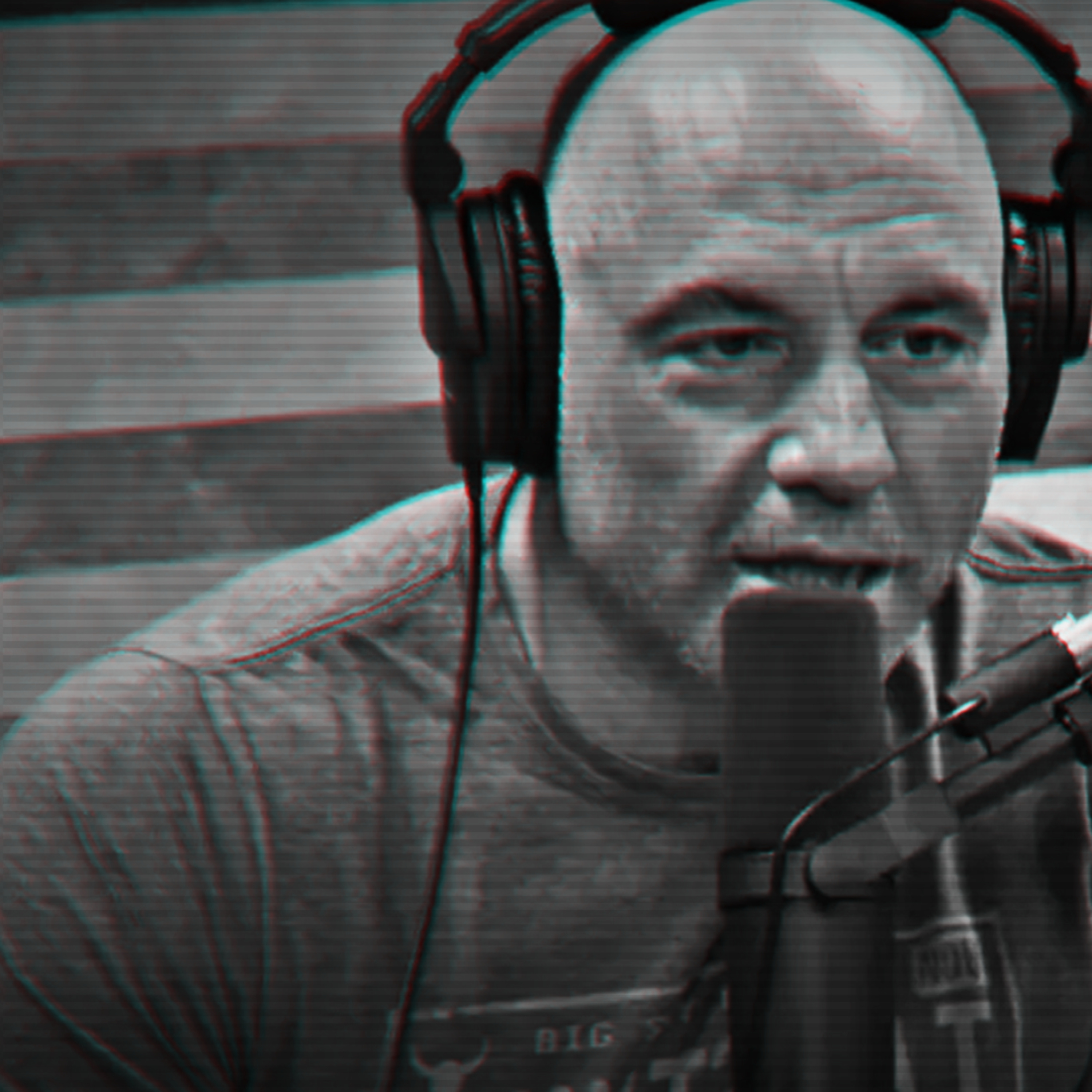 cover of episode THE DESIRE TO GET BETTER - by Joe Rogan