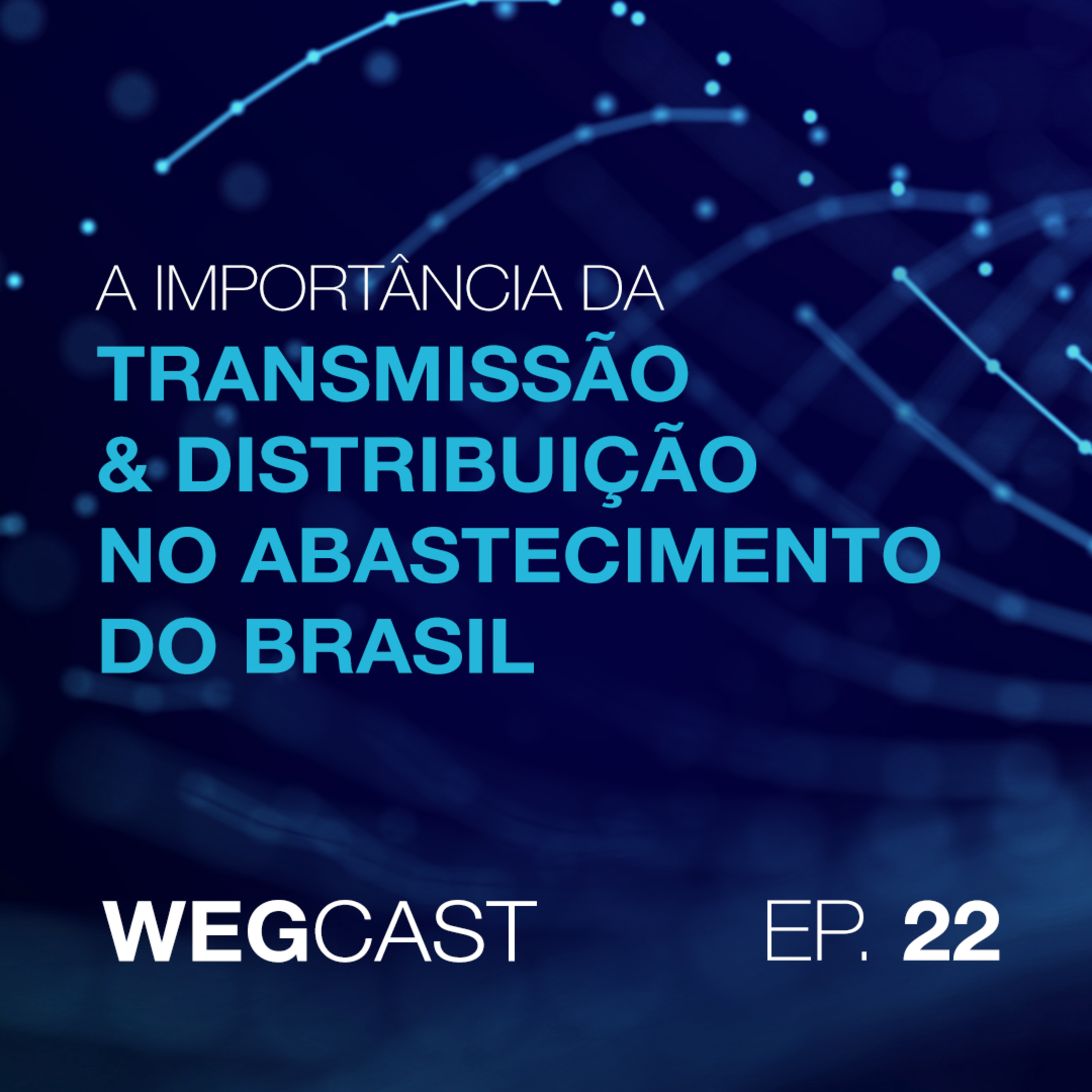 Episódio 22 - A importância da Transmissão e Distribuição no abastecimento do Brasil episode artwork