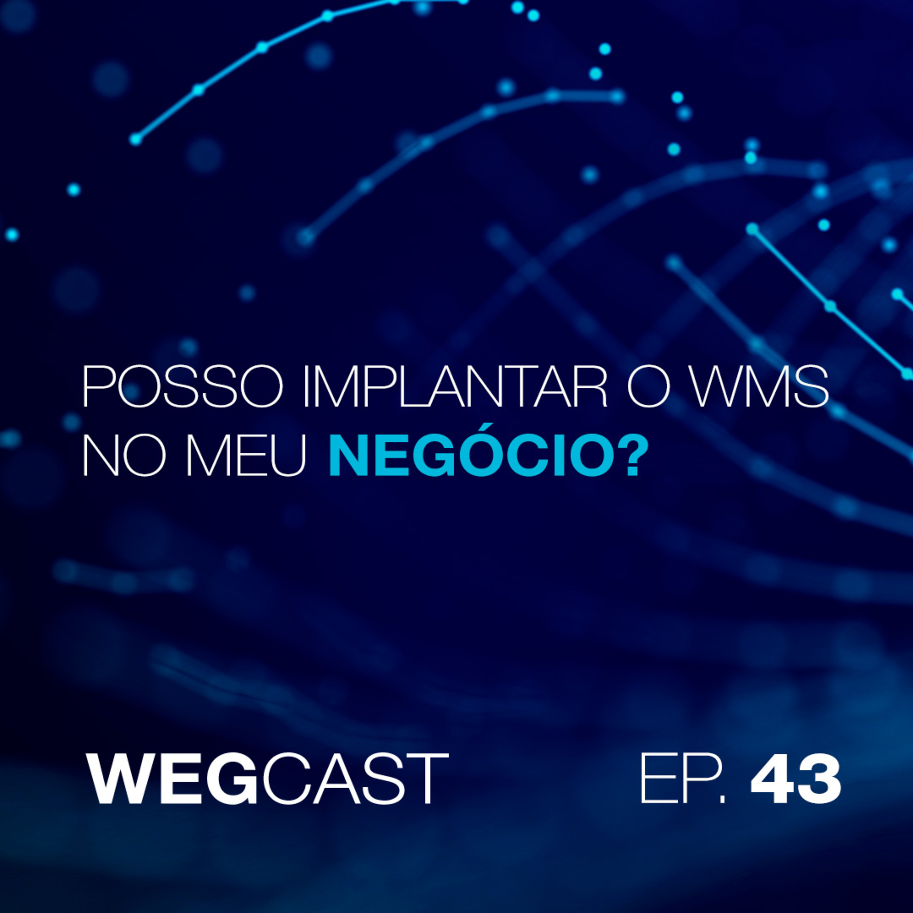 Episódio 43 - Posso implantar o WMS no meu negócio? episode artwork