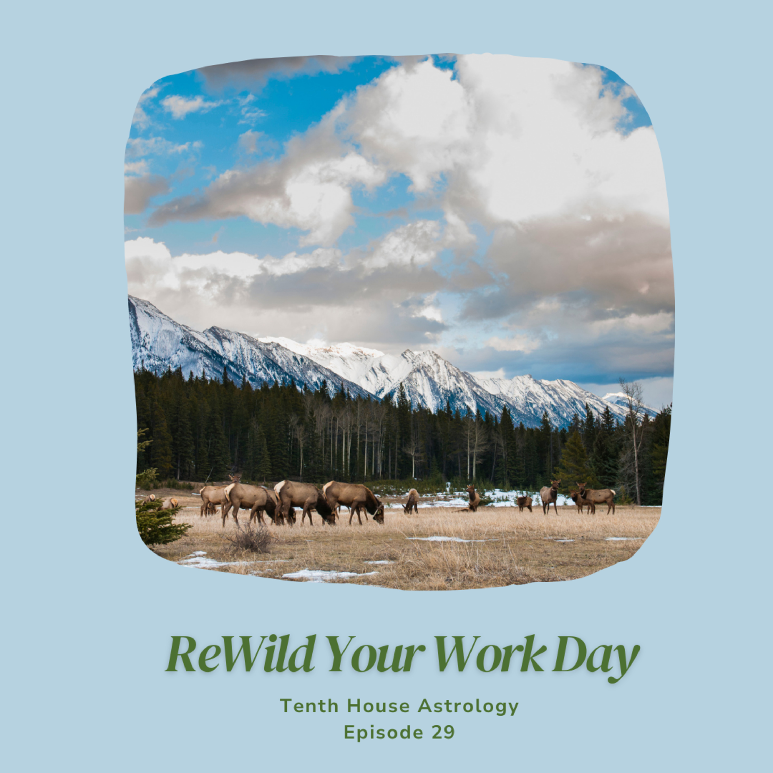 ReWild Your Work Day episode artwork