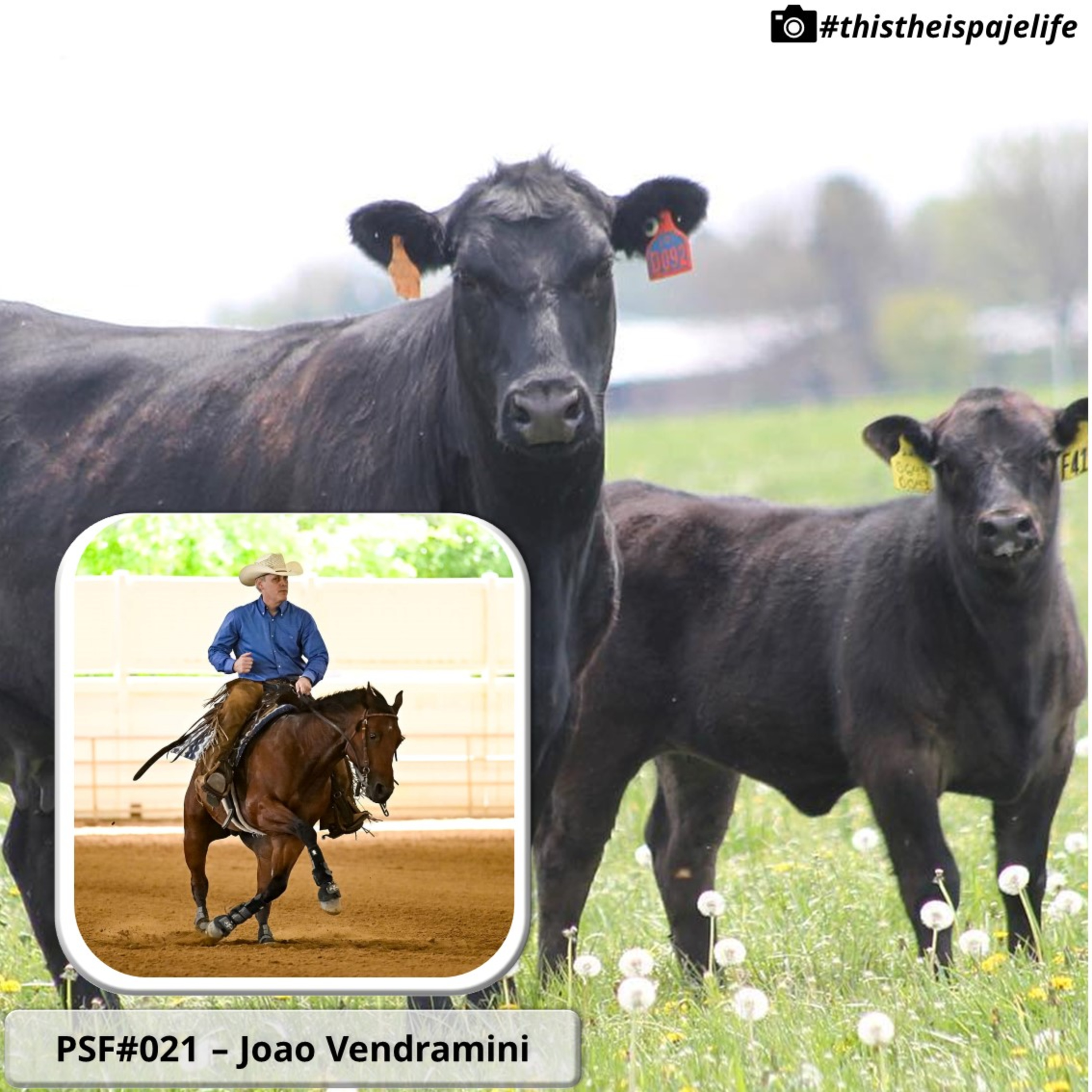 PSF #021 - Joao Vendramini