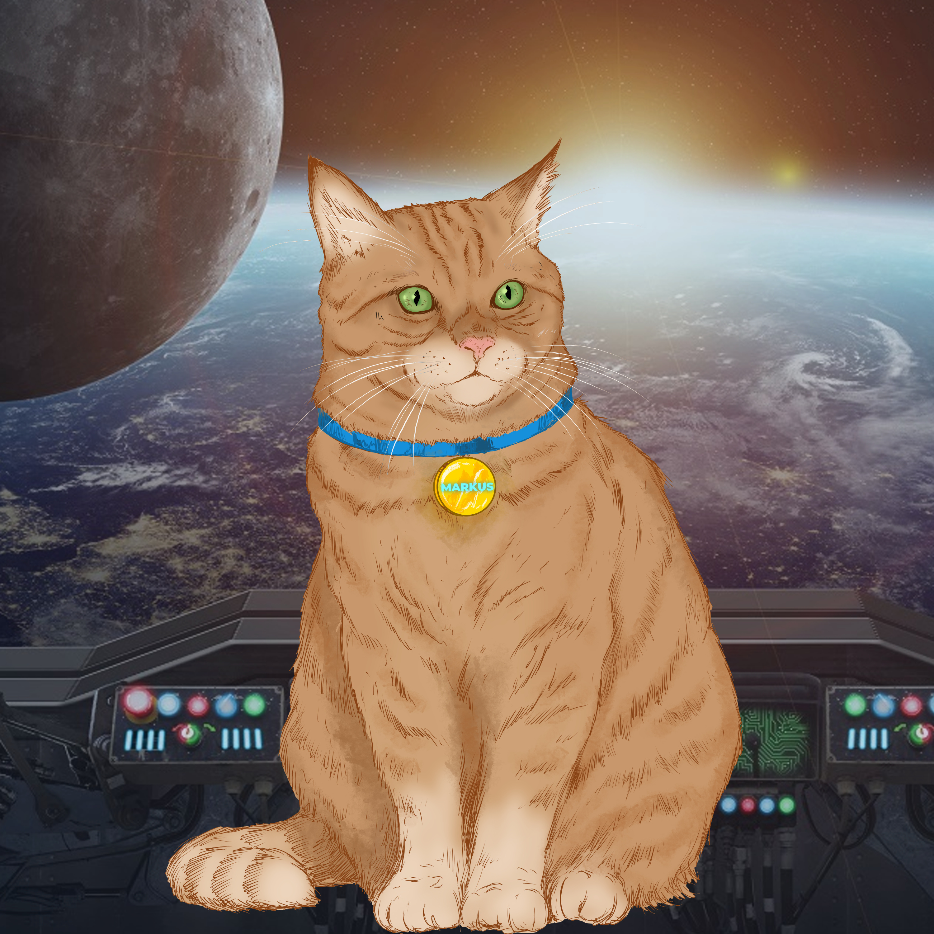 Session 2.30 cat episode artwork