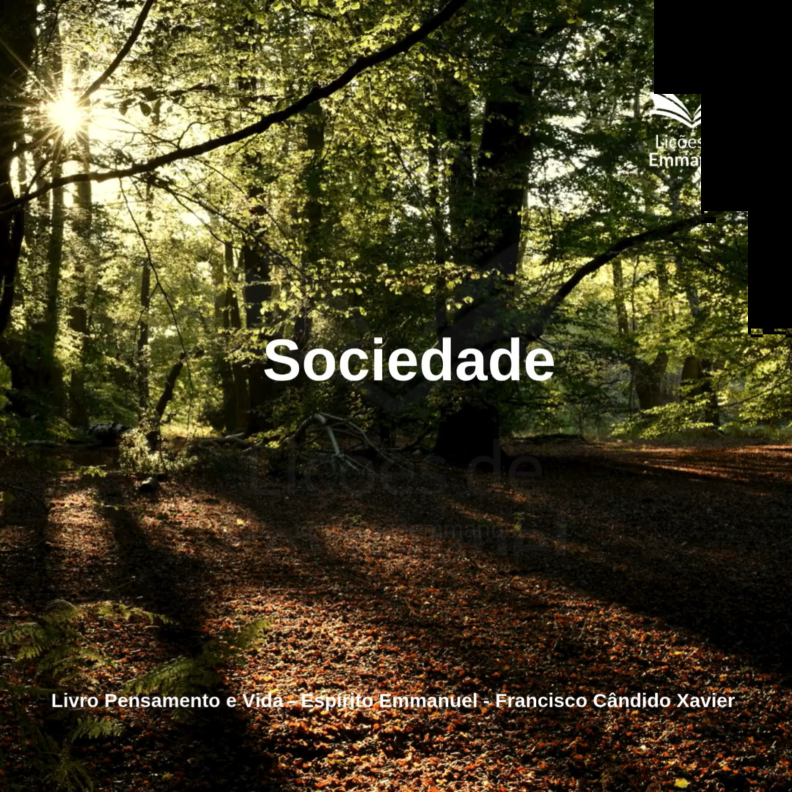 Pensamento e Vida - Cap. 18. Sociedade episode artwork