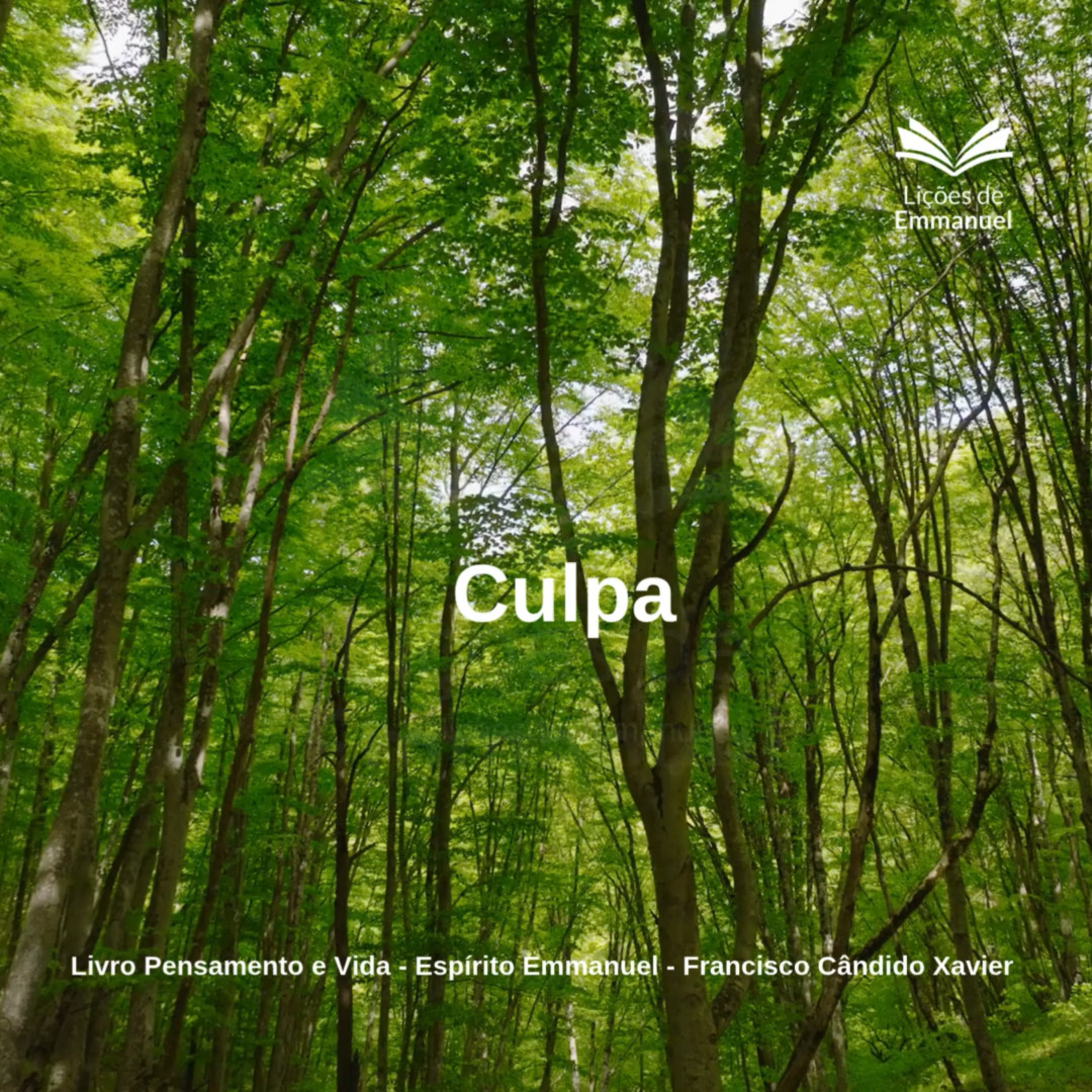 Pensamento e Vida - Cap. 22. Culpa episode artwork