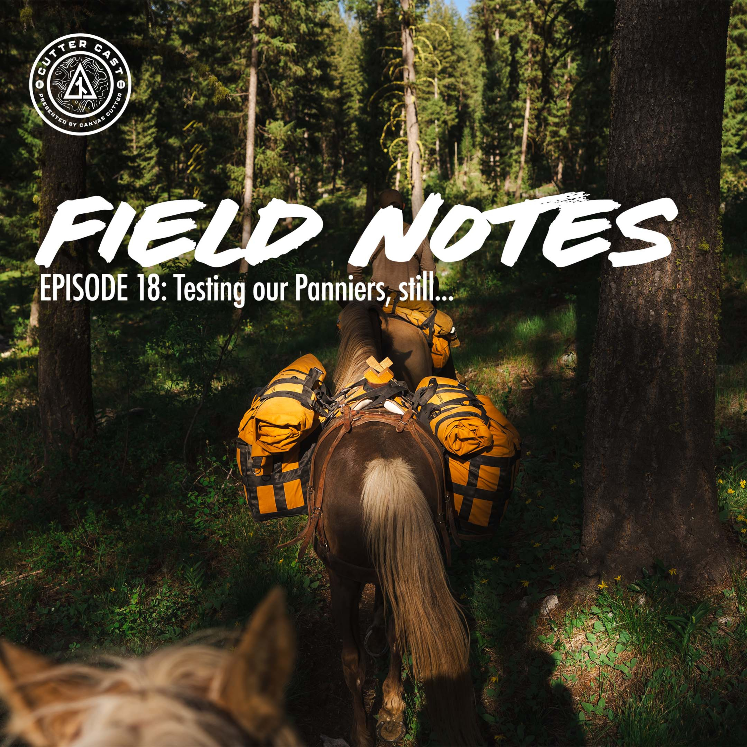 Ep. 83: Field Notes #18: Testing our Panniers, still... episode artwork