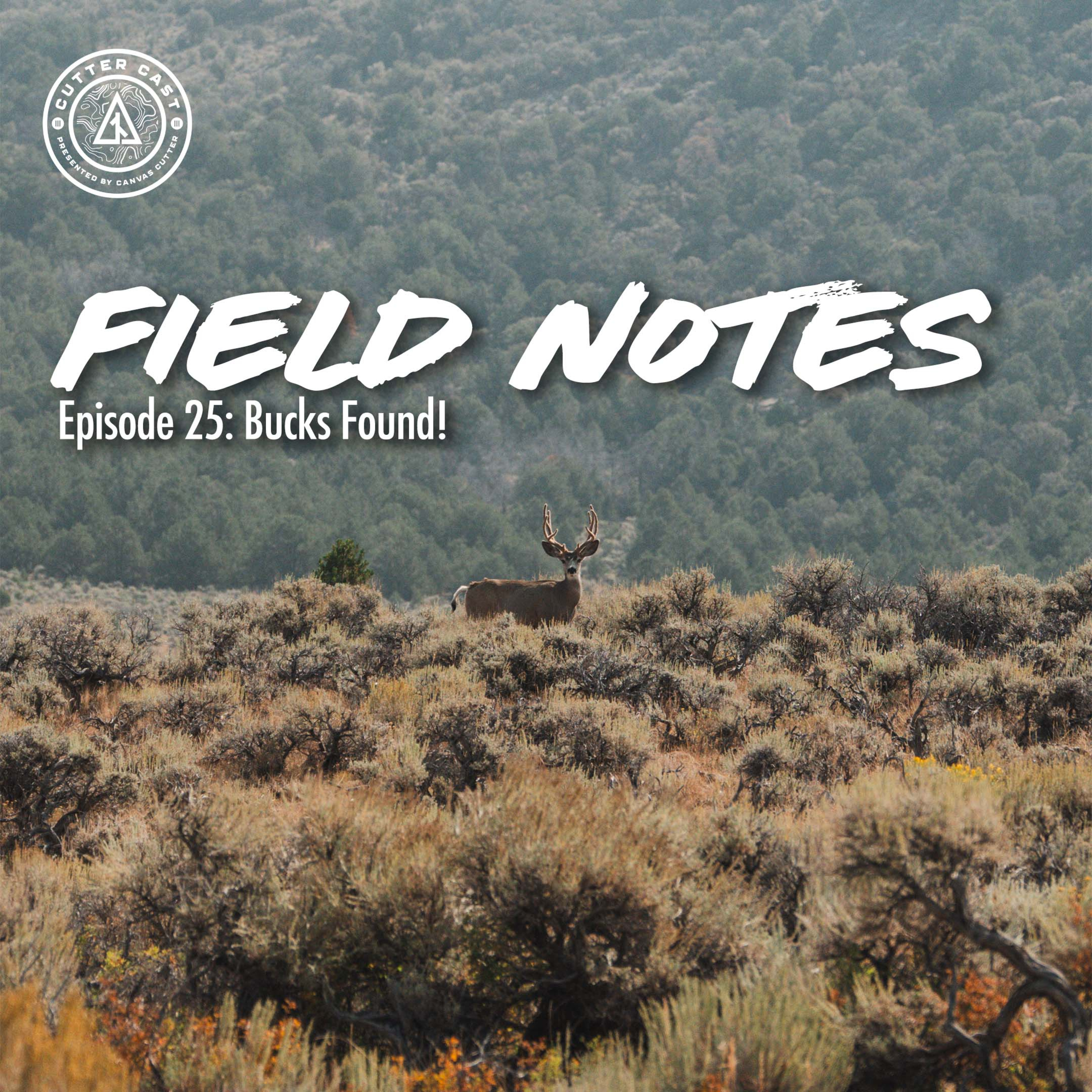 Ep. 90: Field Notes #25: Bucks Found! episode artwork