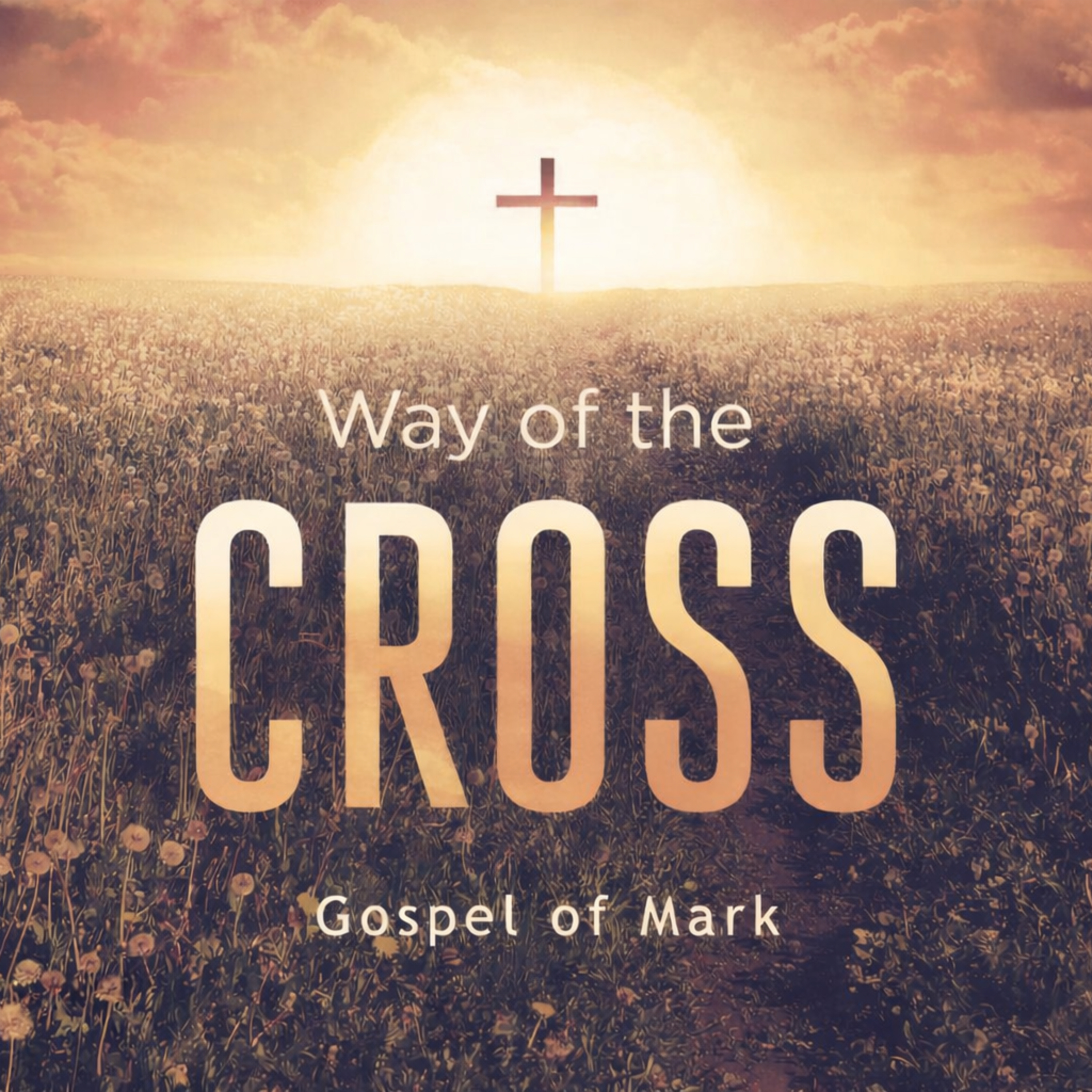 Way of the Cross - Part 6: "Stay Awake: Living Faithfully in the Last Days" episode artwork