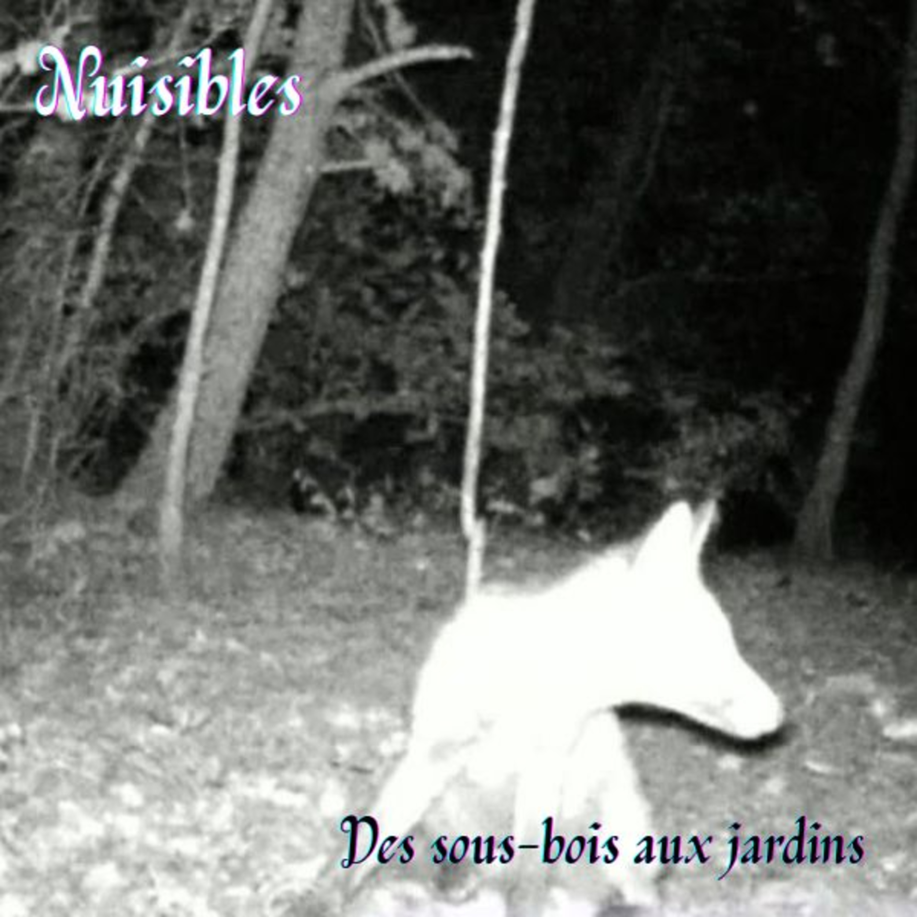 ONDINES25 Nuisibles - Des sous-bois aux jardins - Dimitri Lewkowicz  episode artwork
