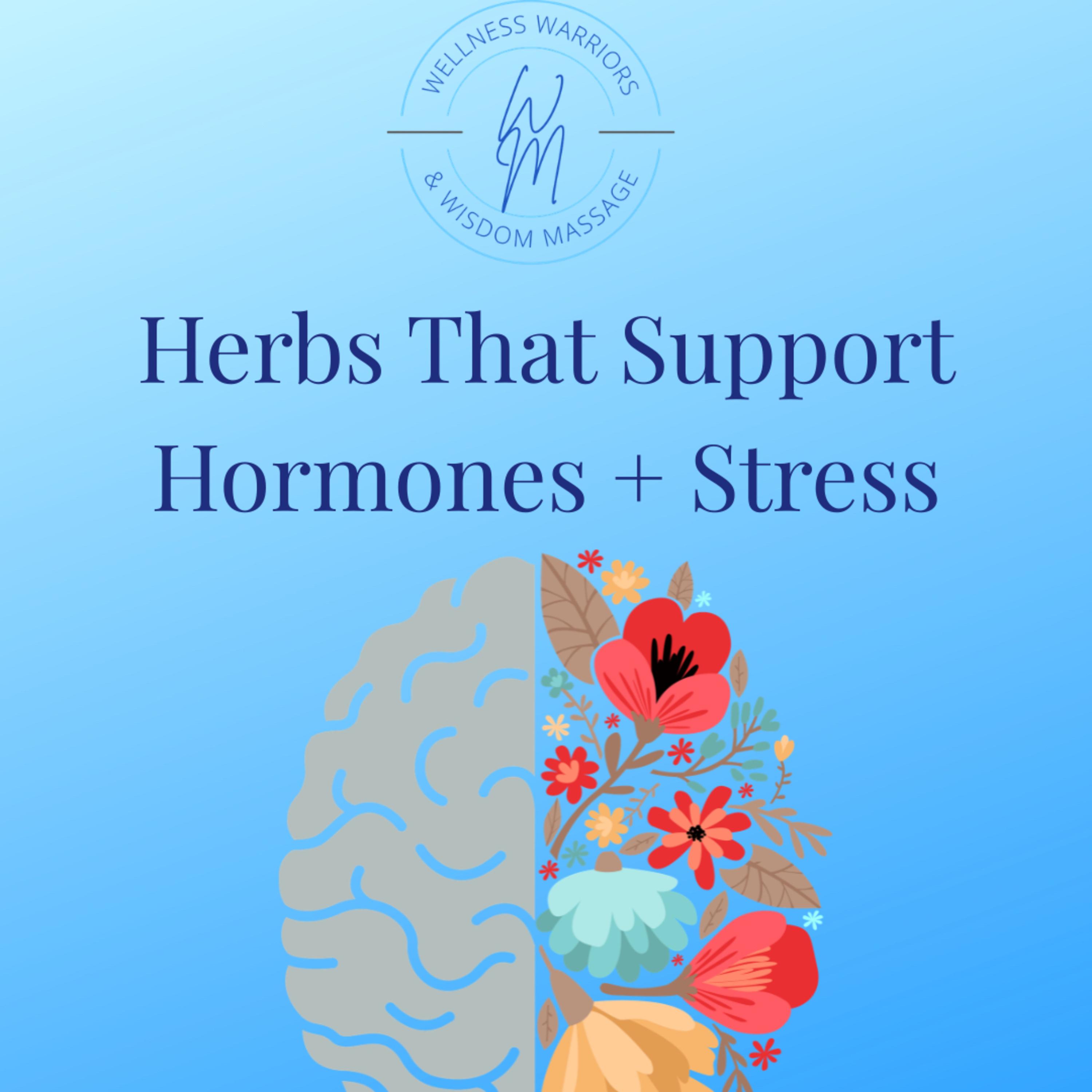69. Herbs That Support Stress + Hormones episode artwork