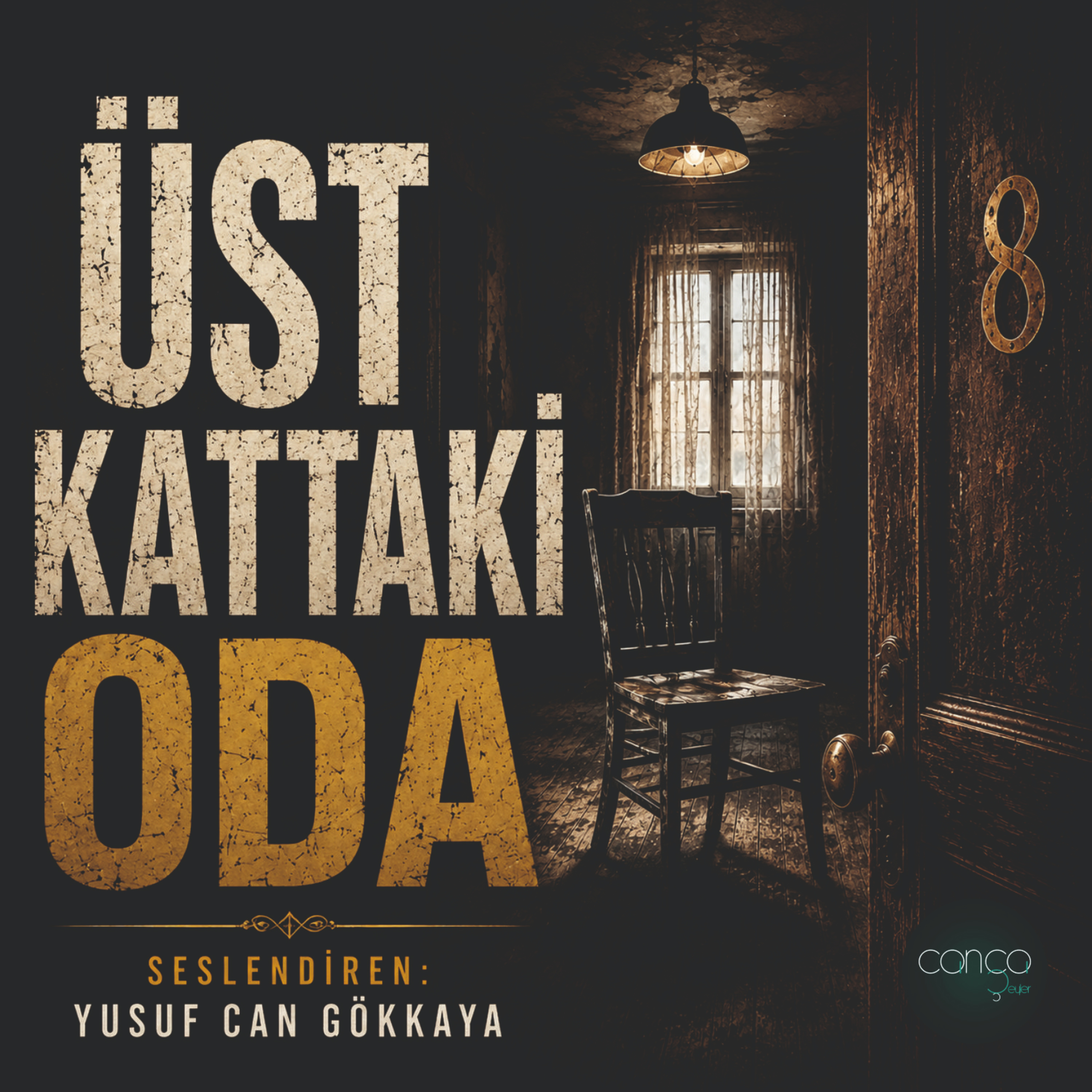 Öykü | Yusuf Can Gökkaya - Üst Kattaki Oda episode artwork