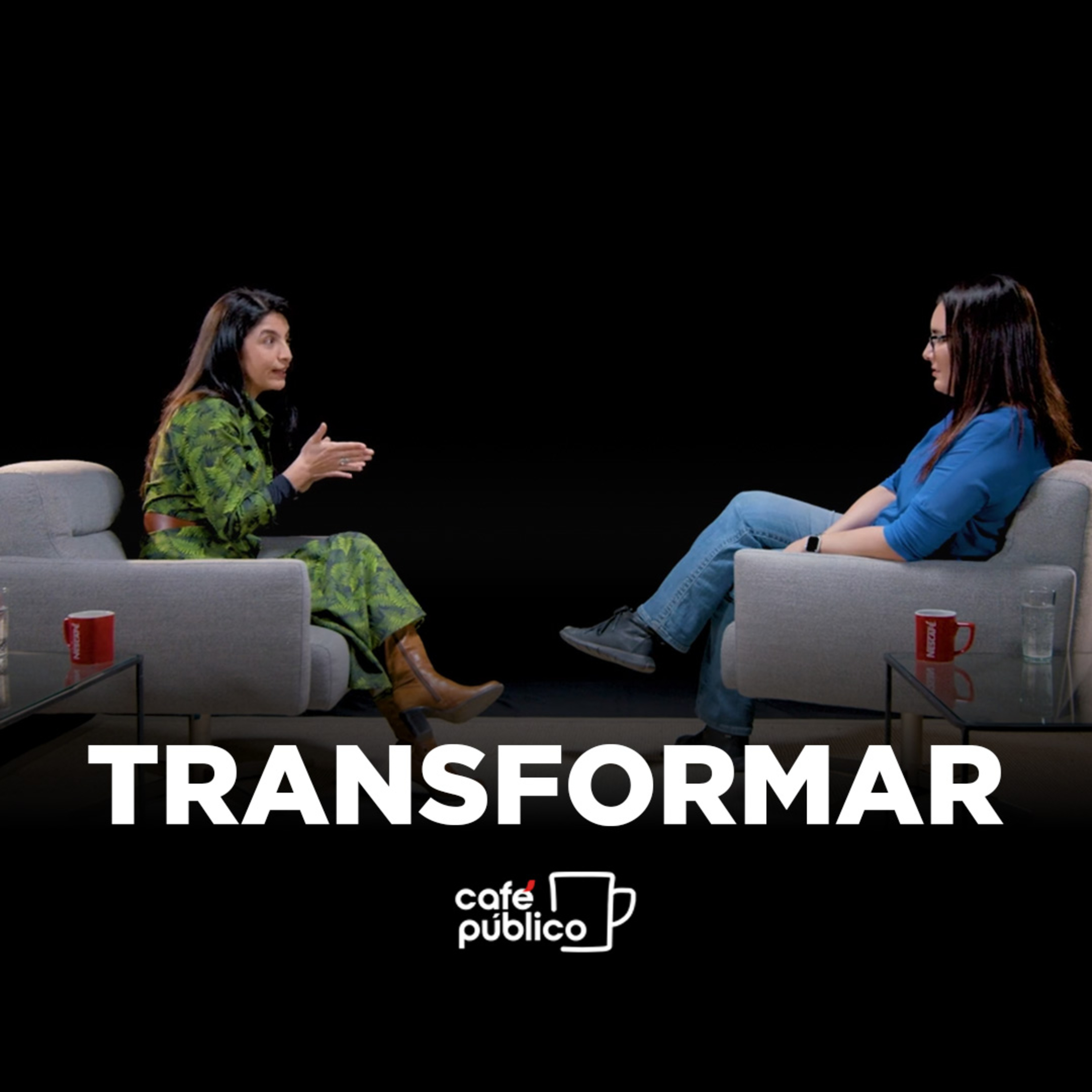 Transformar episode artwork