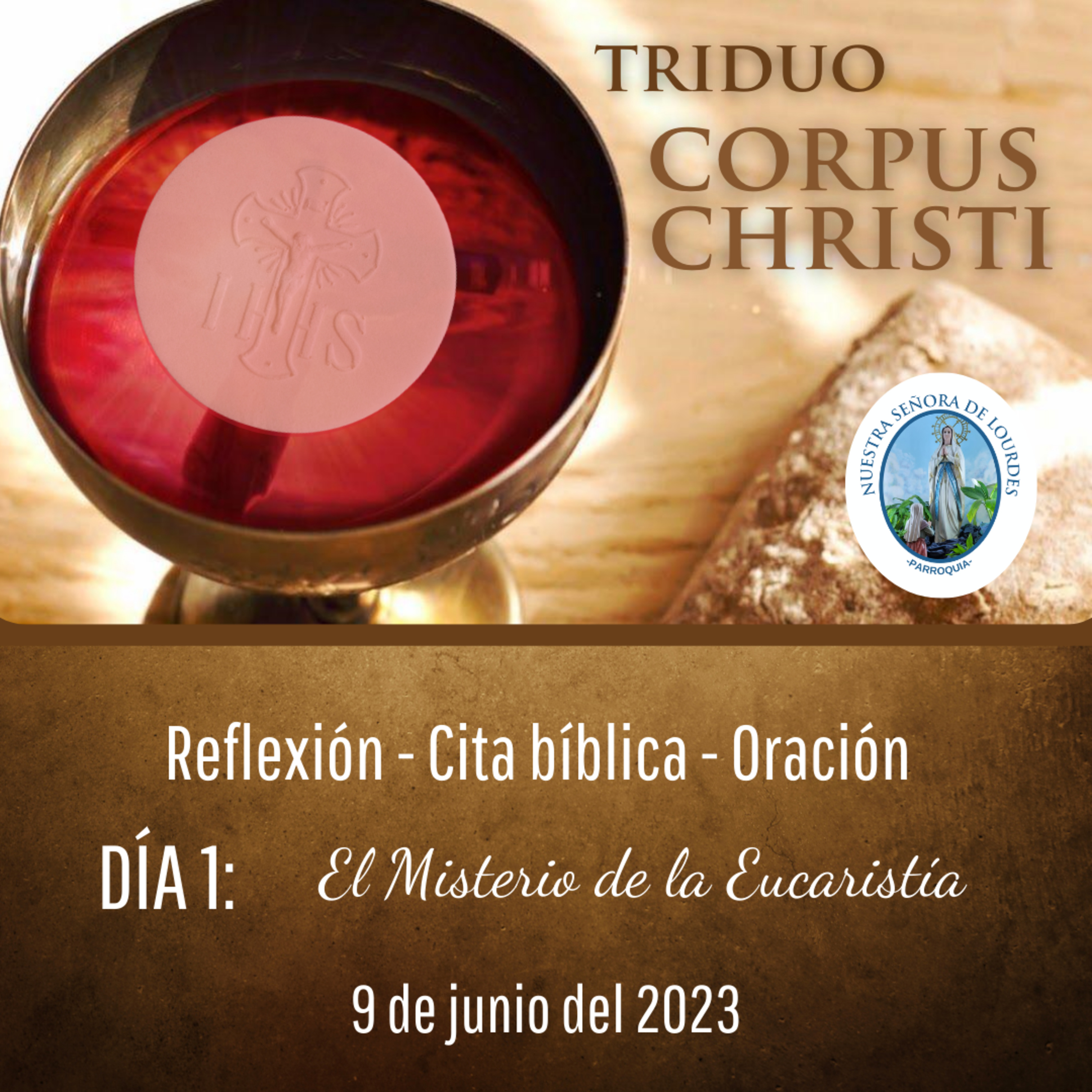 Portada de Evangelio y Reflexiones diarias