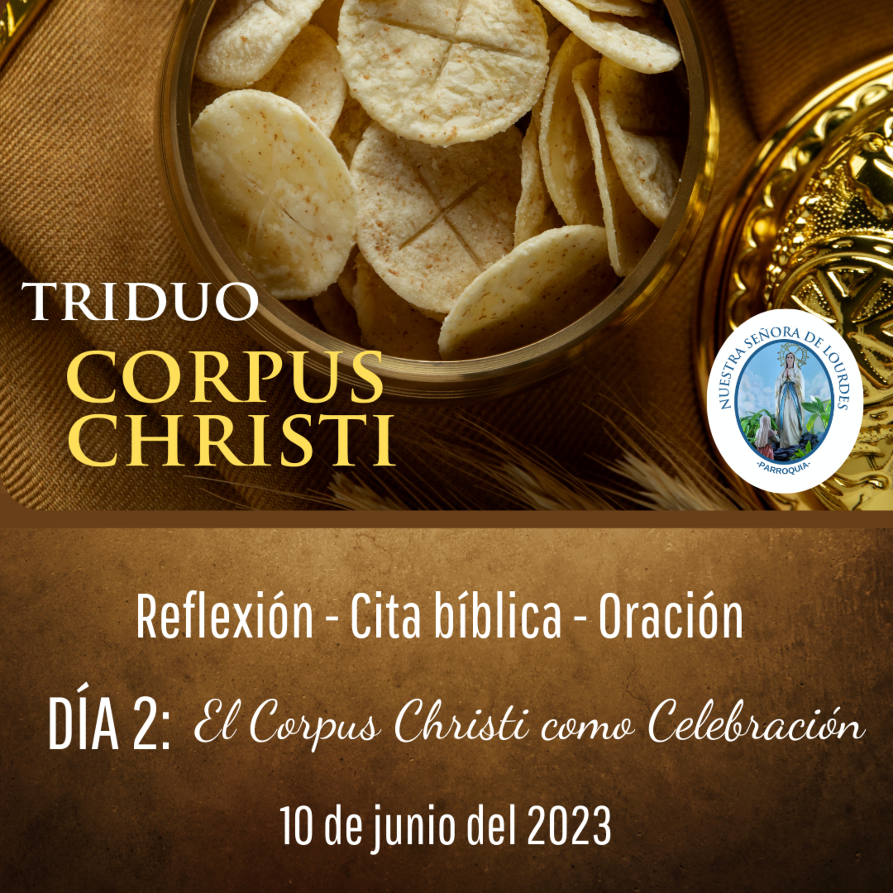 Portada de Evangelio y Reflexiones diarias