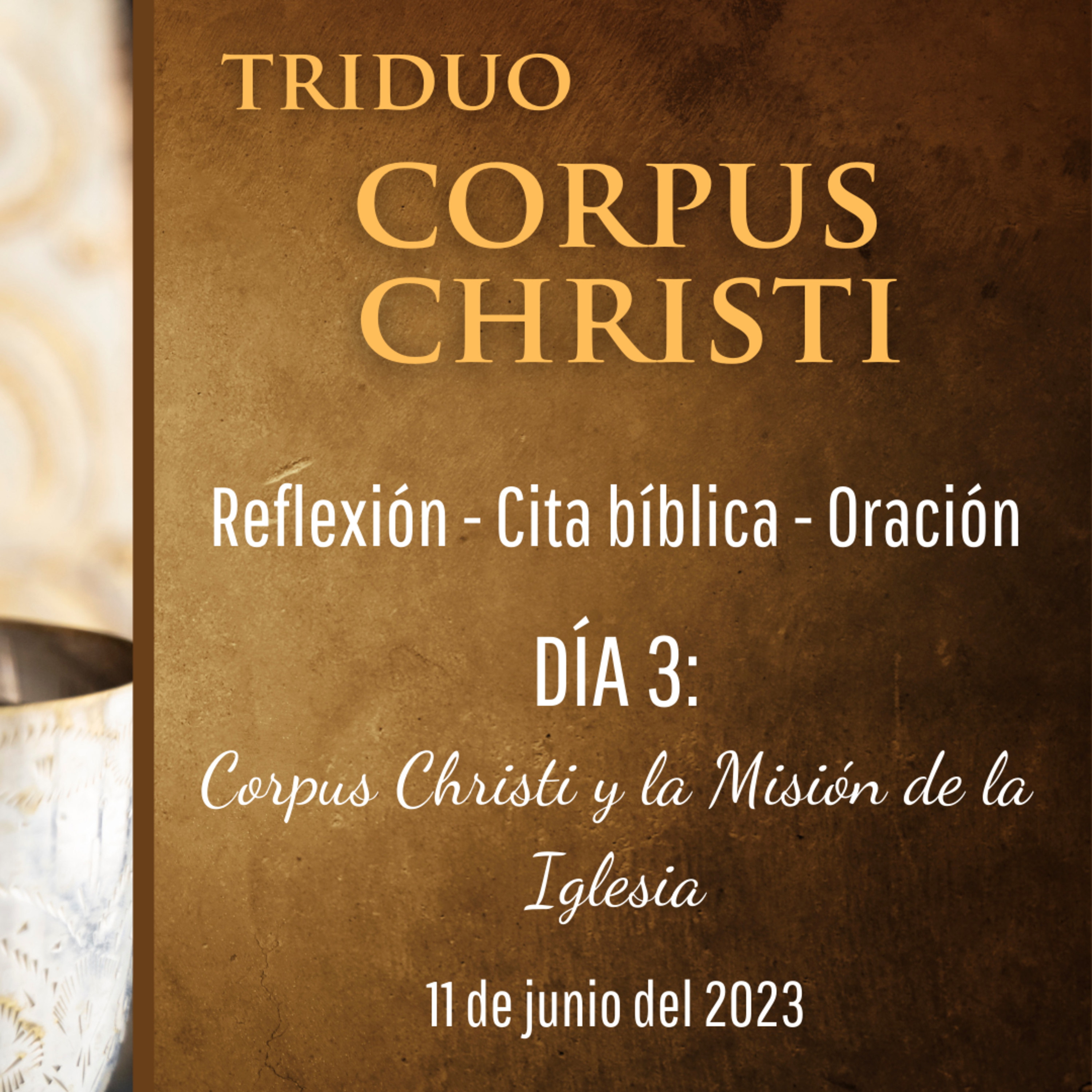 Portada de Evangelio y Reflexiones diarias