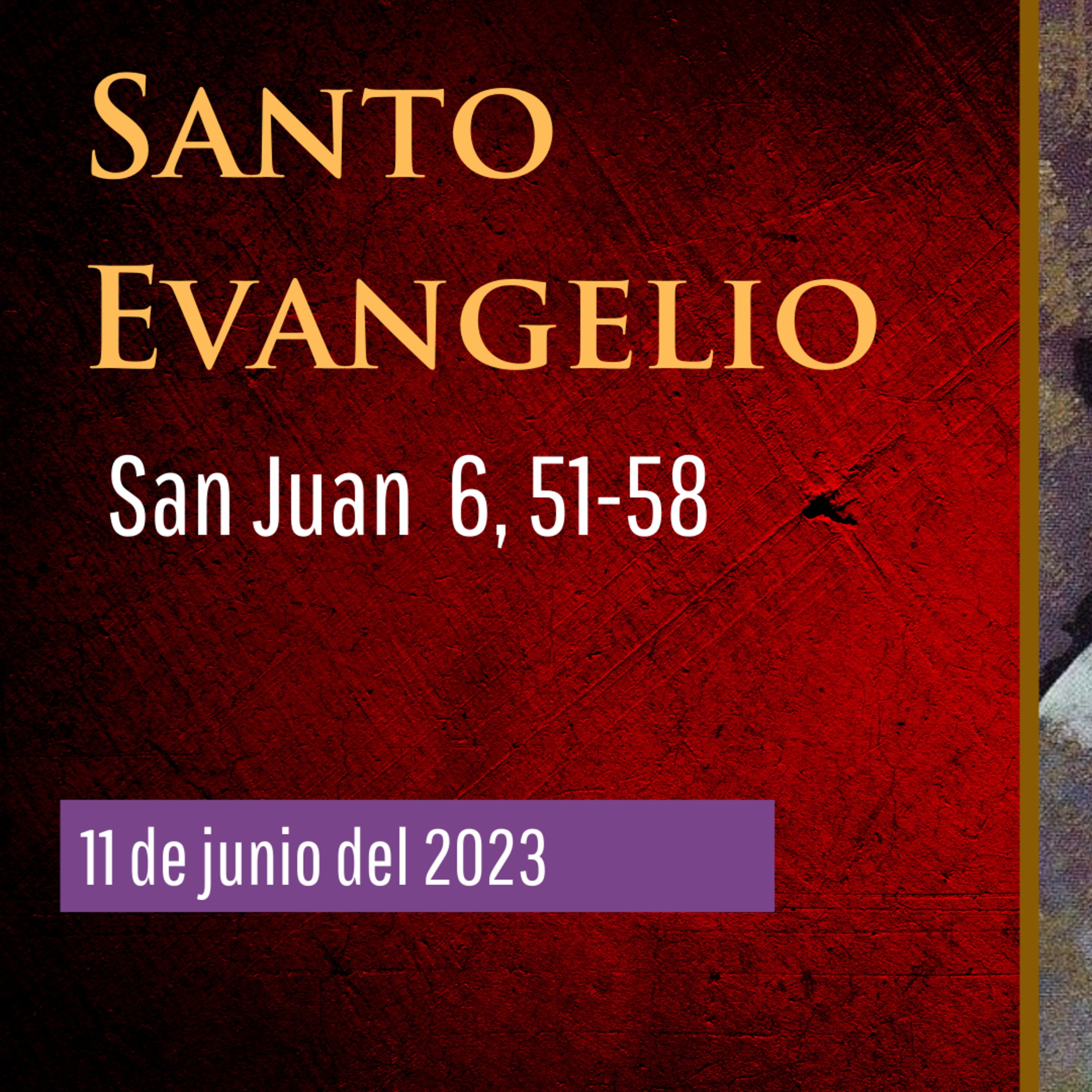 Portada de Evangelio y Reflexiones diarias