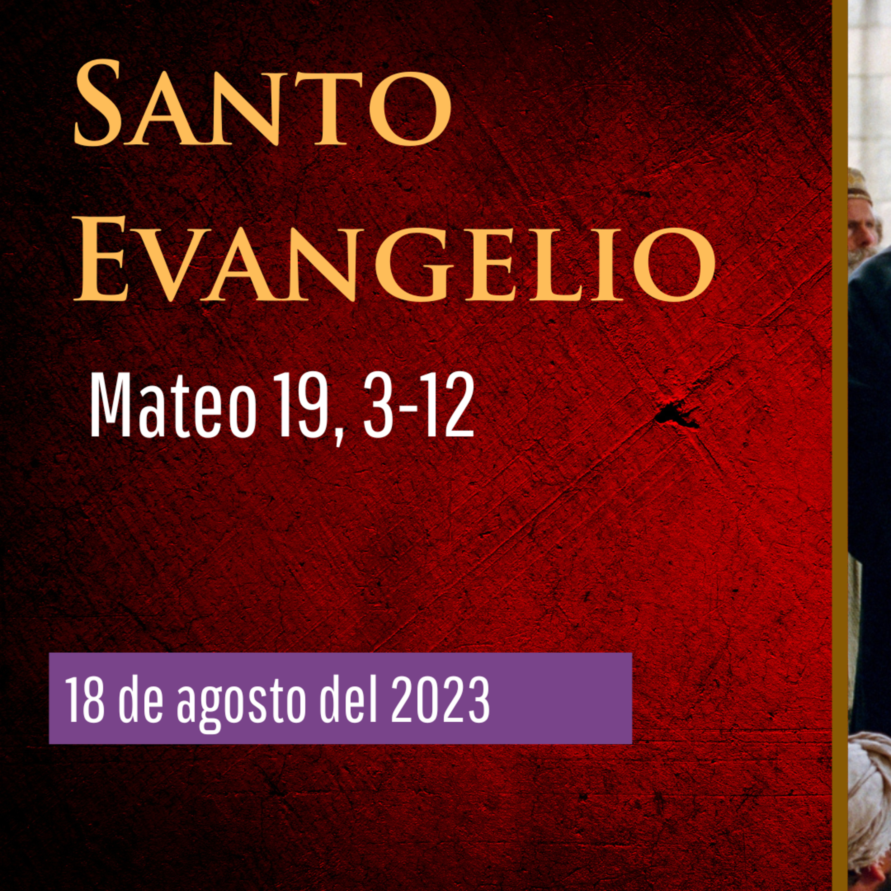Evangelio y Reflexiones diarias