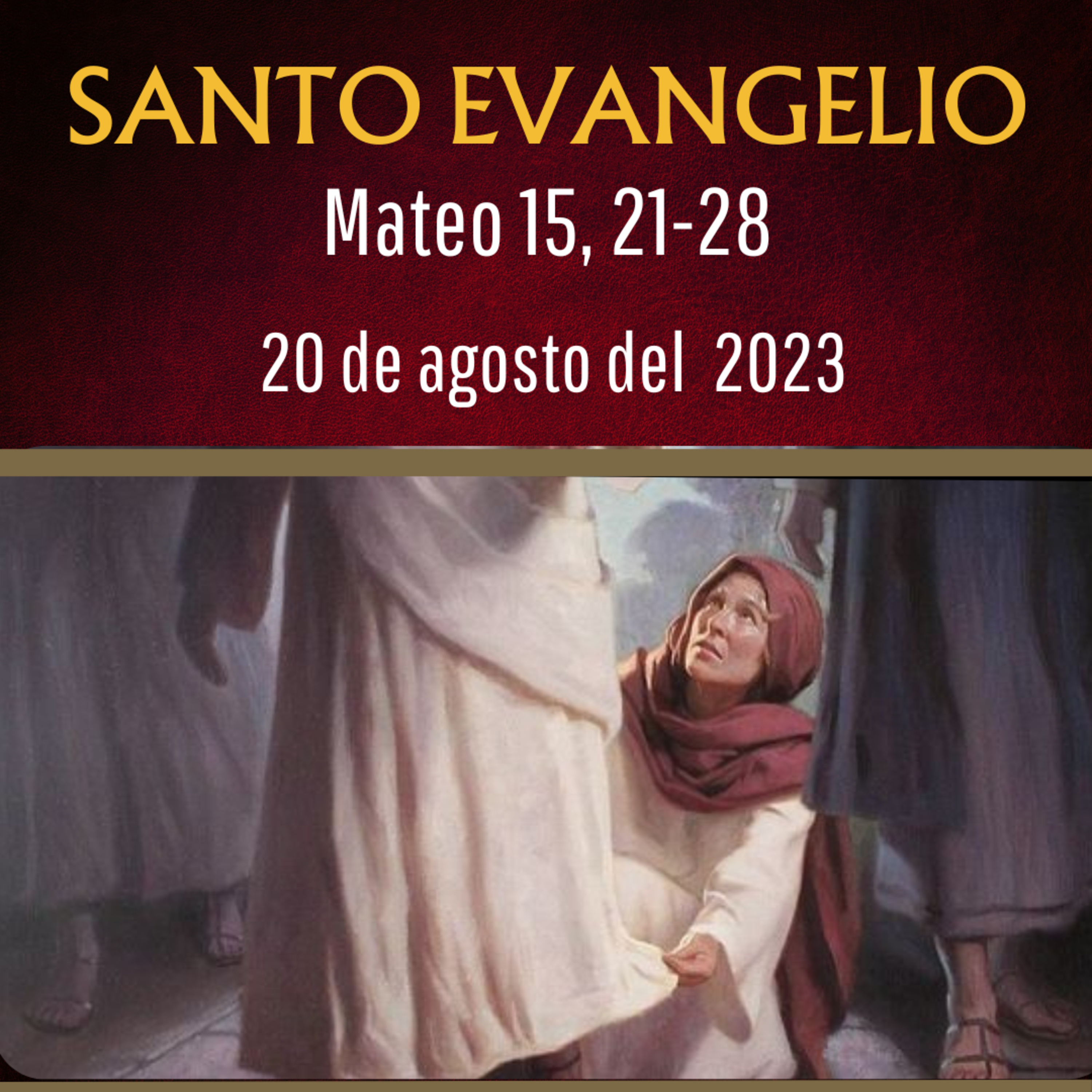 Evangelio y Reflexiones diarias