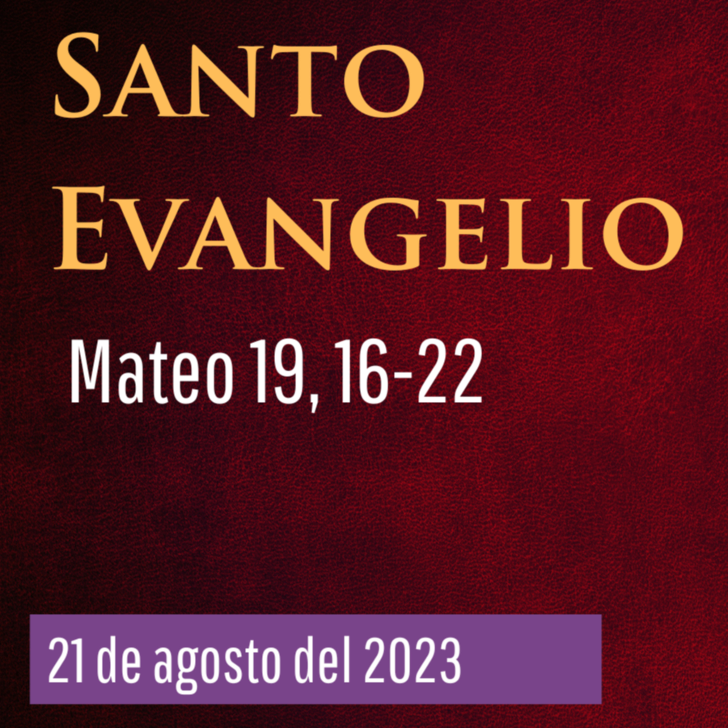 Evangelio y Reflexiones diarias
