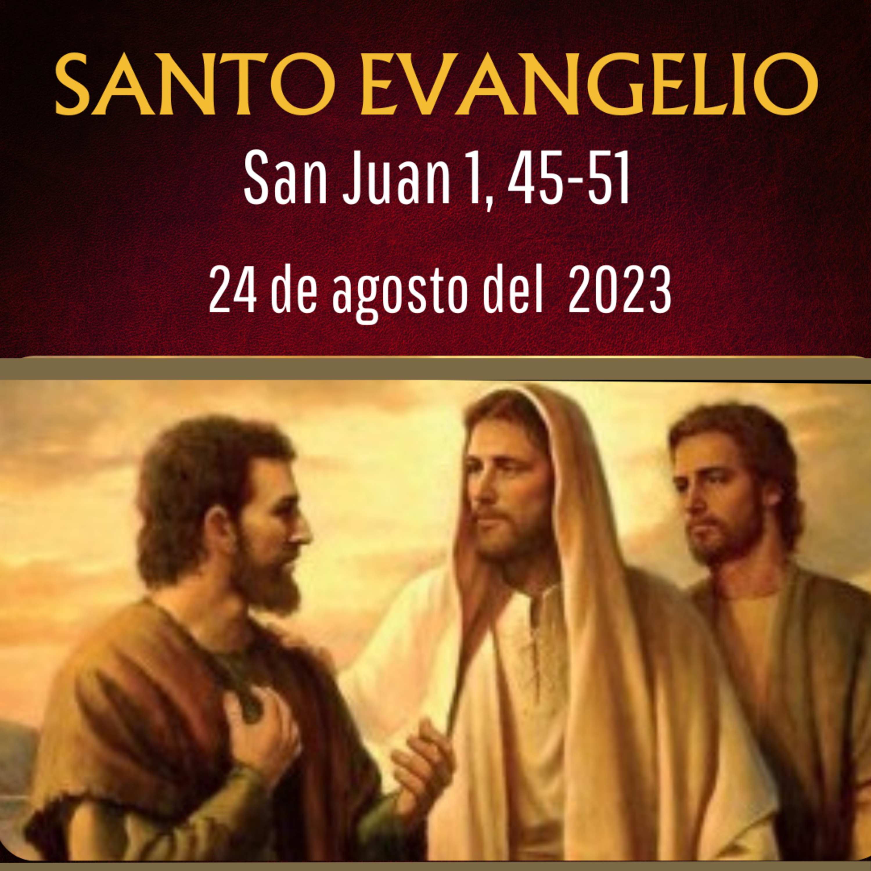 Evangelio y Reflexiones diarias