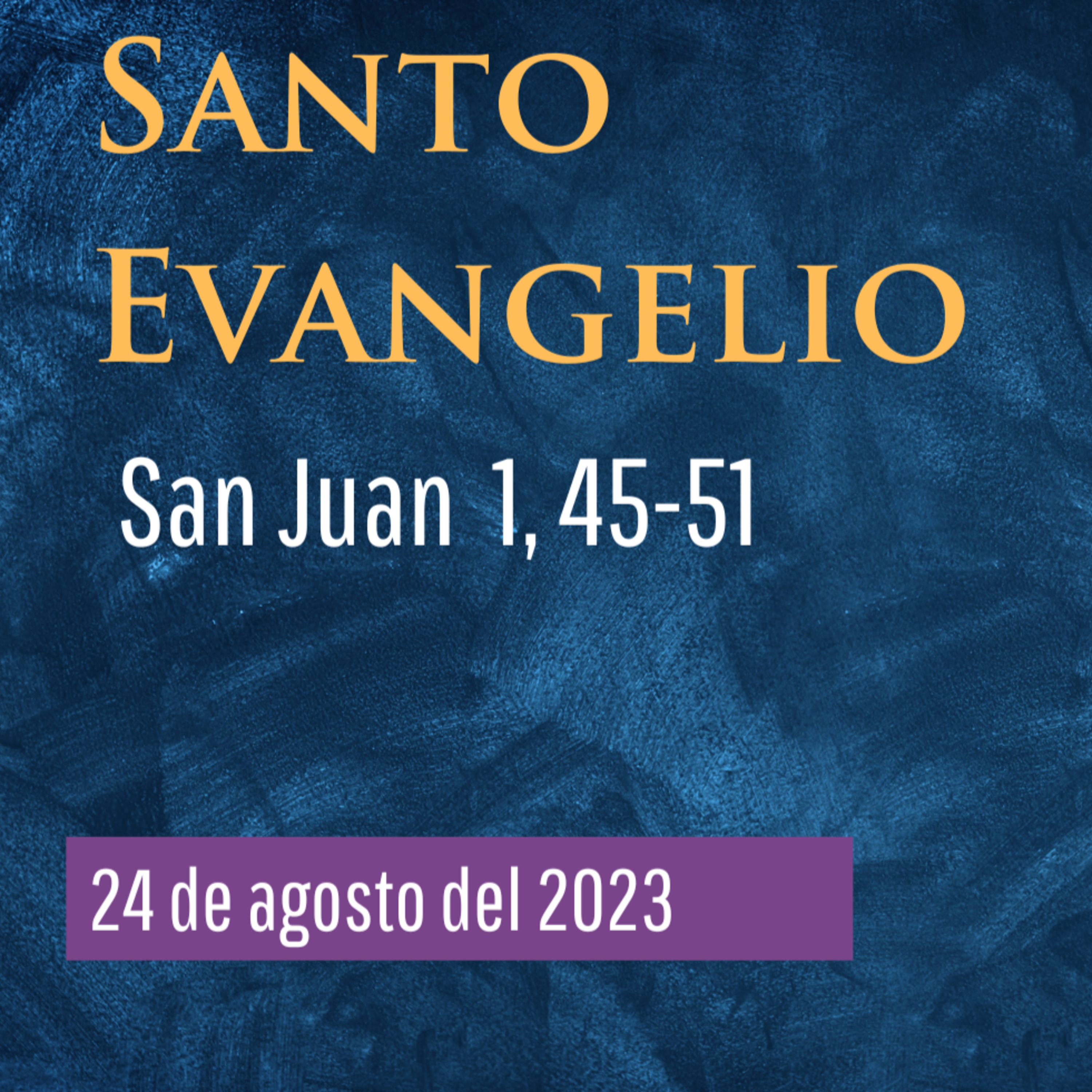 Evangelio y Reflexiones diarias