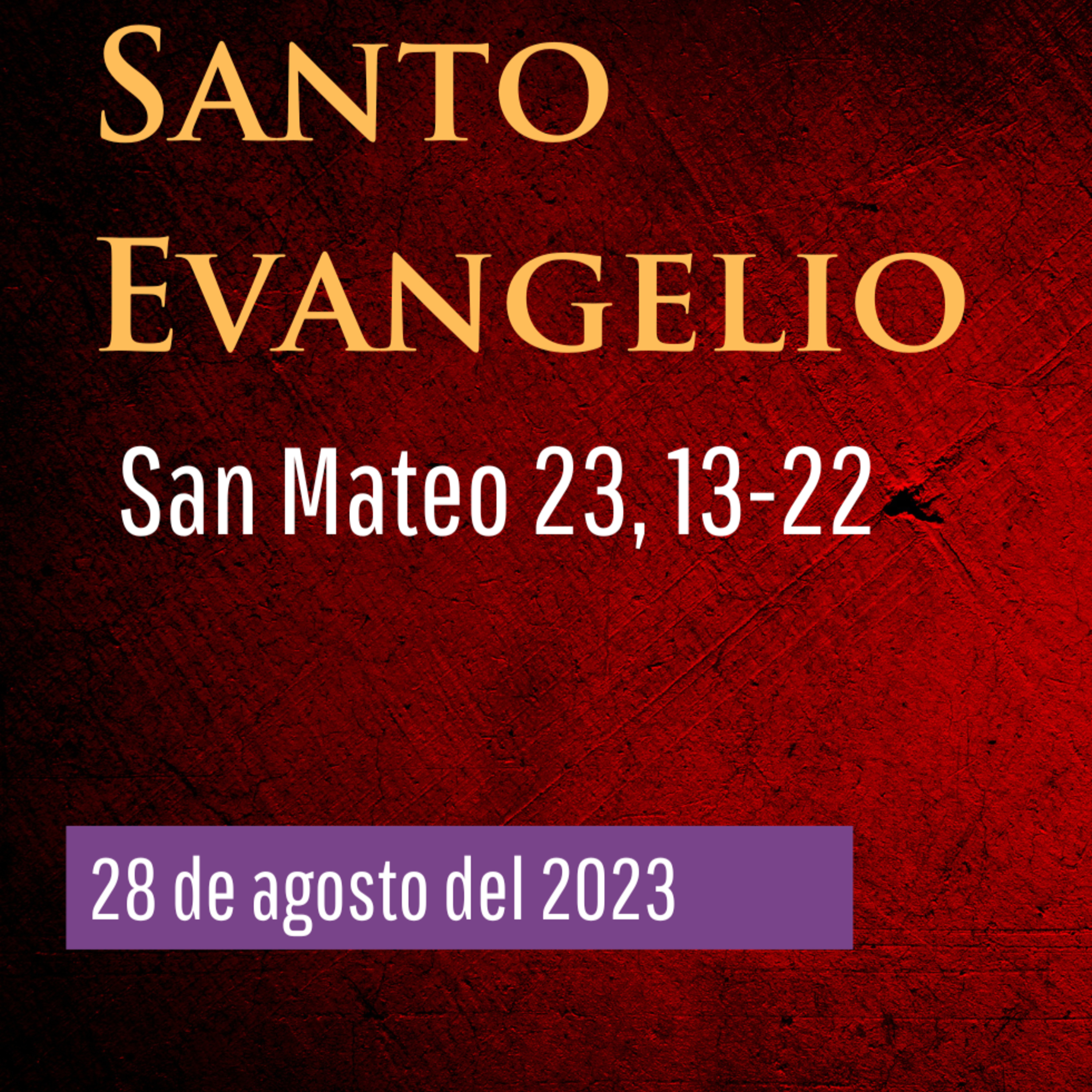 Evangelio y Reflexiones diarias