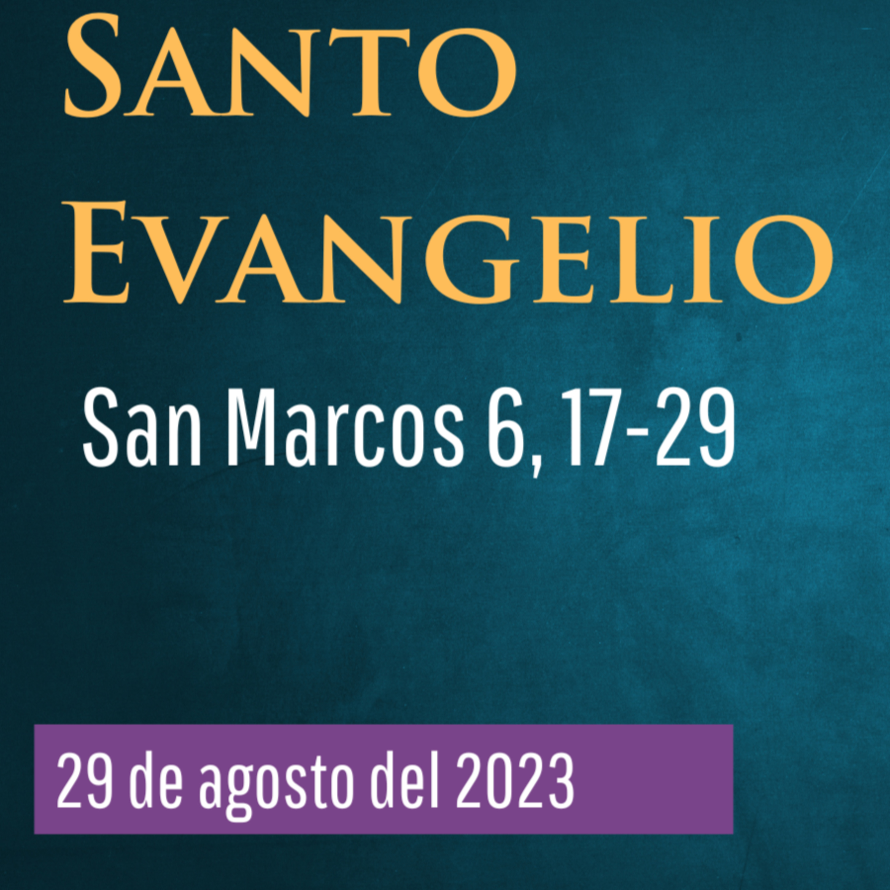 Evangelio y Reflexiones diarias