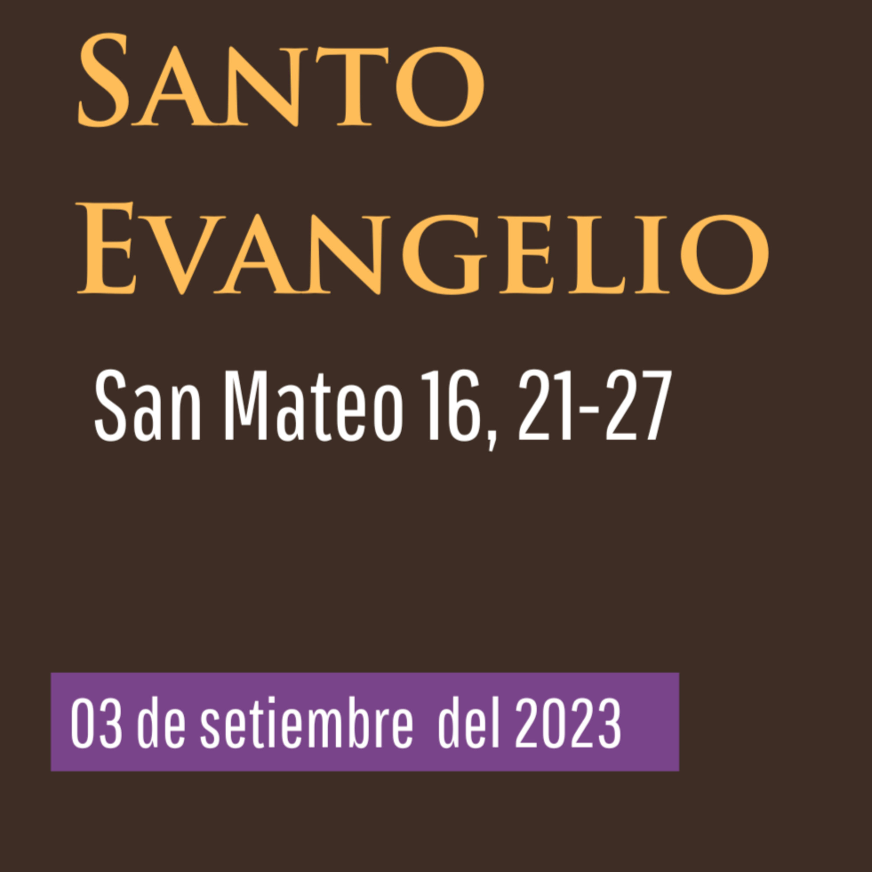 Evangelio y Reflexiones diarias