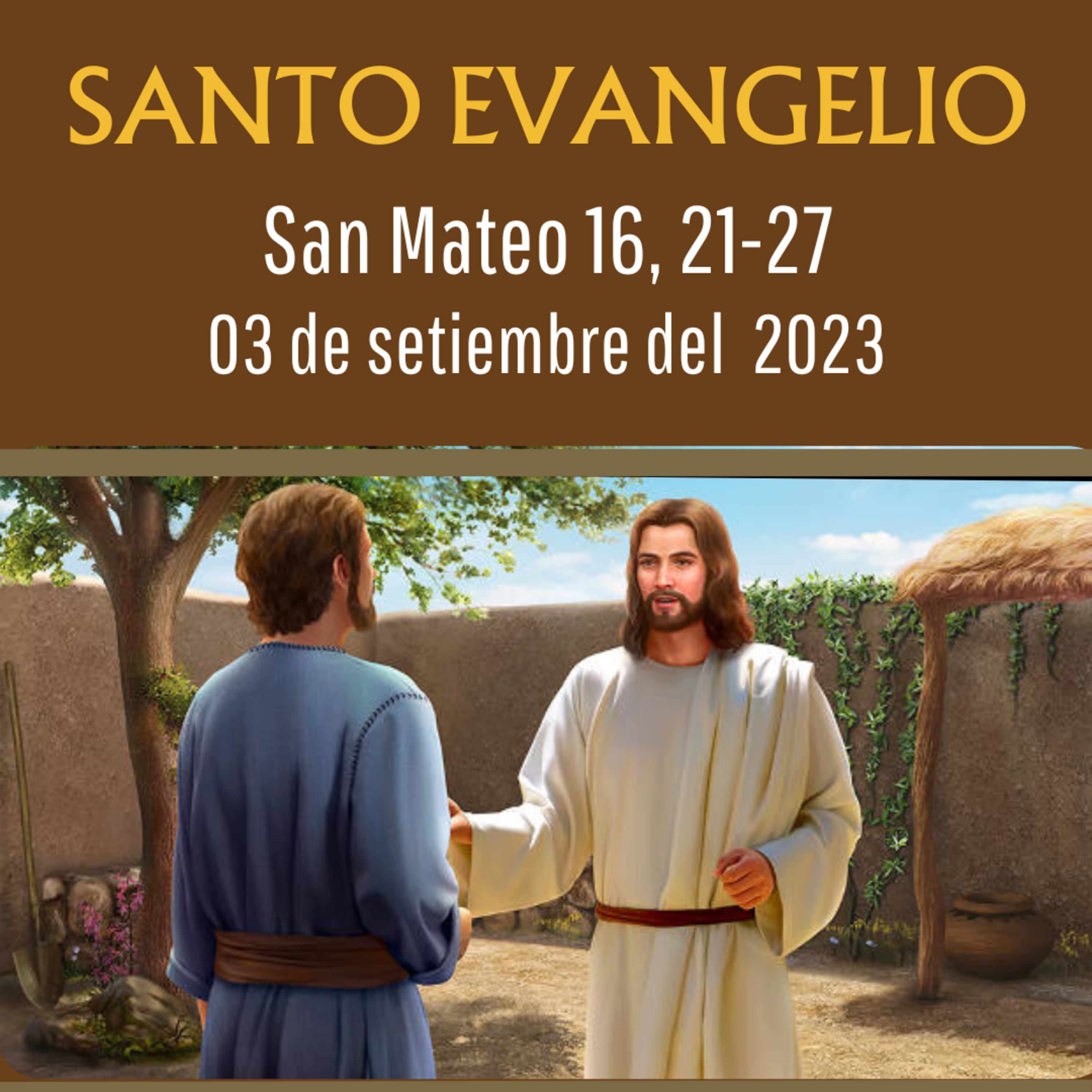 Evangelio y Reflexiones diarias
