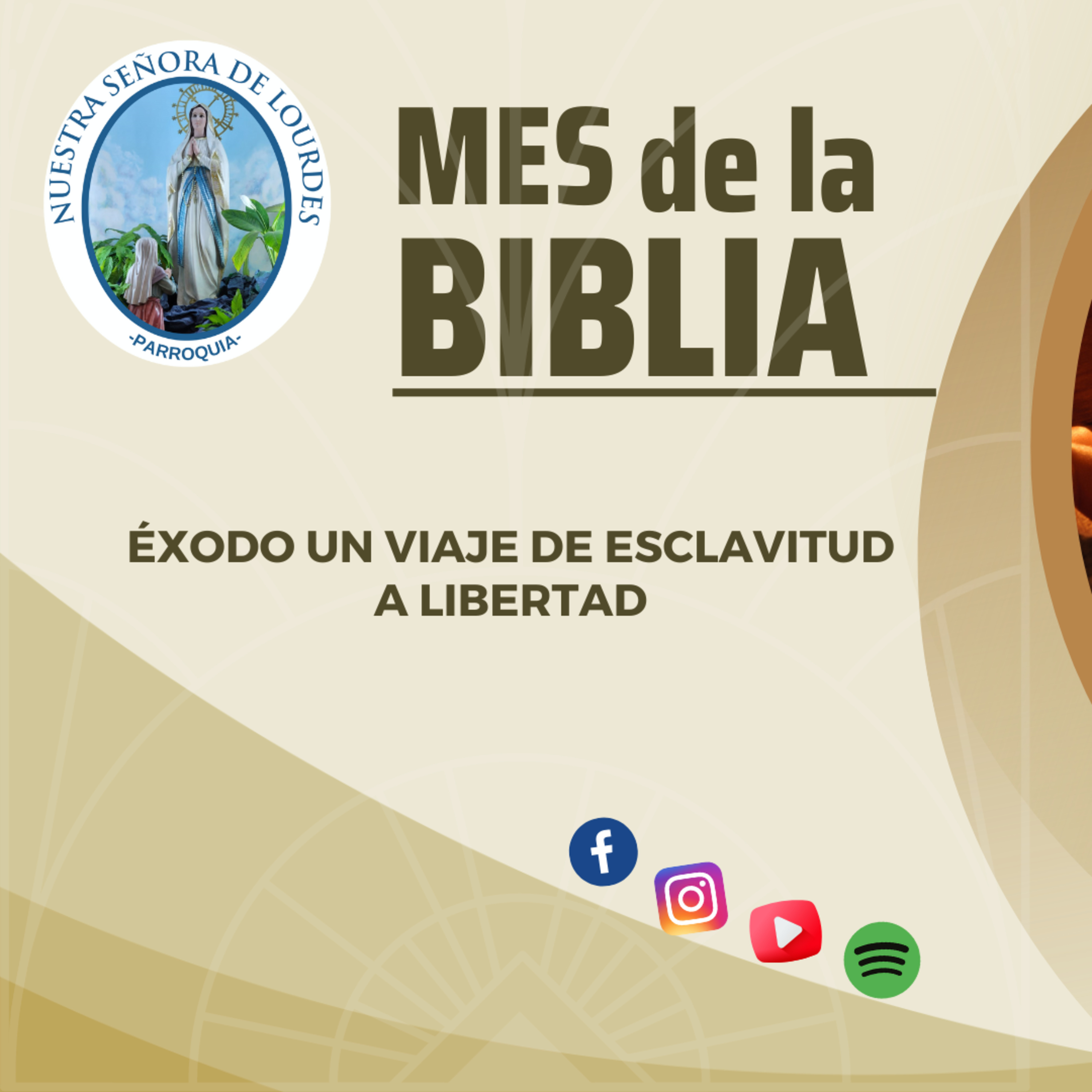 Portada de Evangelio y Reflexiones diarias