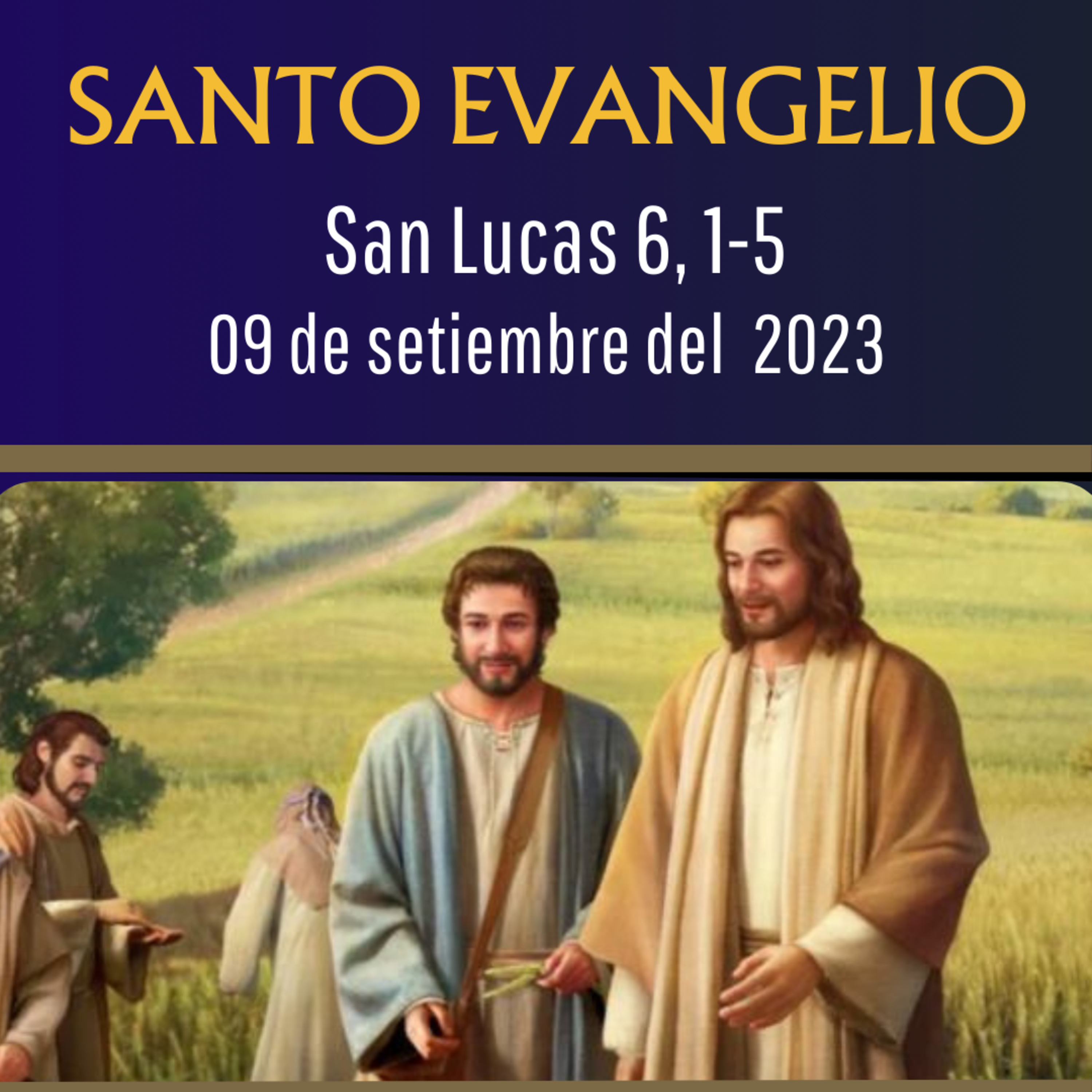 Evangelio y Reflexiones diarias