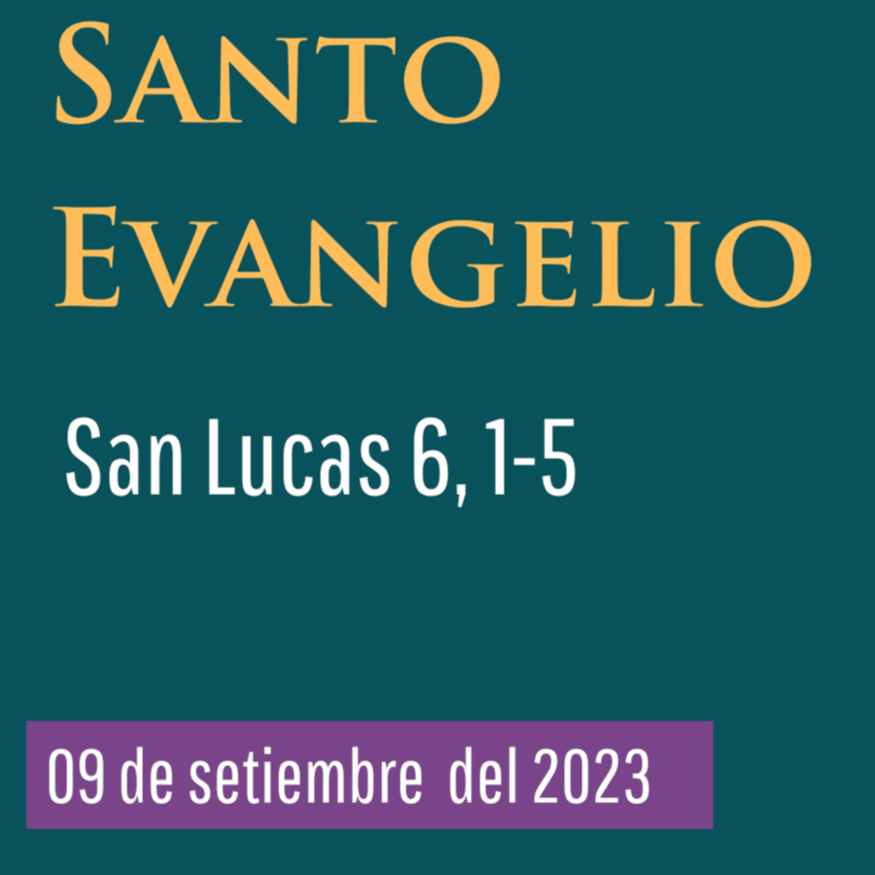 Evangelio y Reflexiones diarias