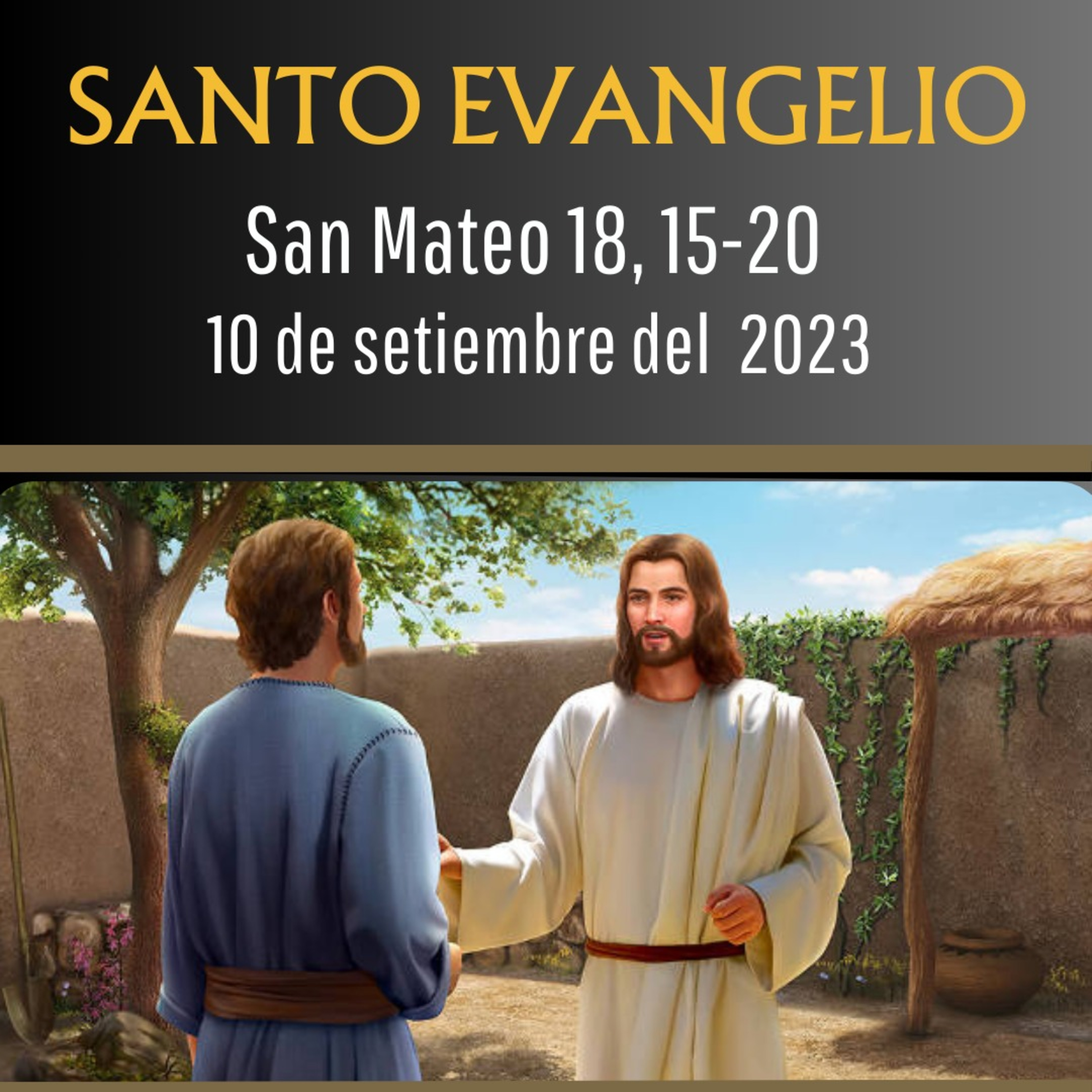 Evangelio y Reflexiones diarias