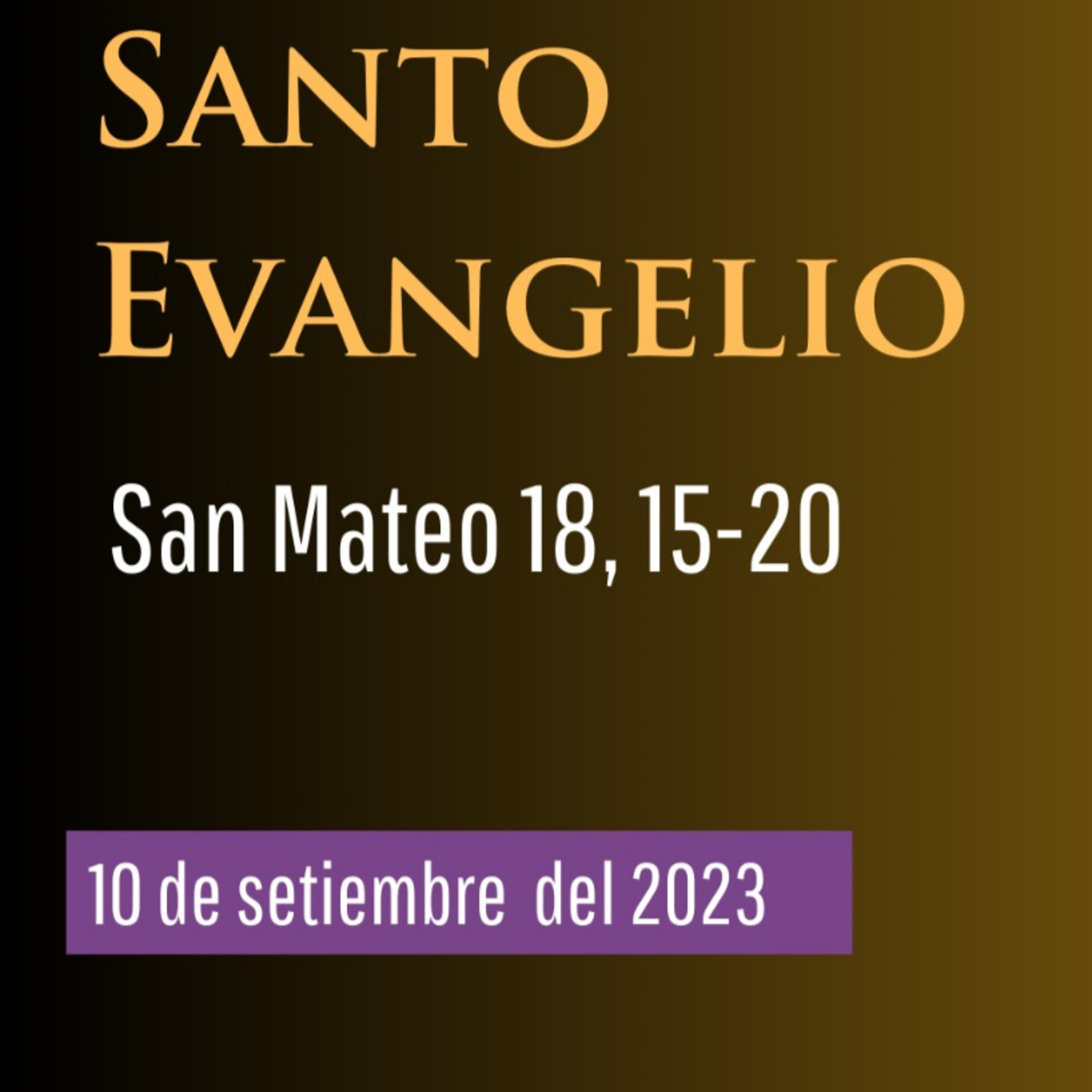 Evangelio y Reflexiones diarias