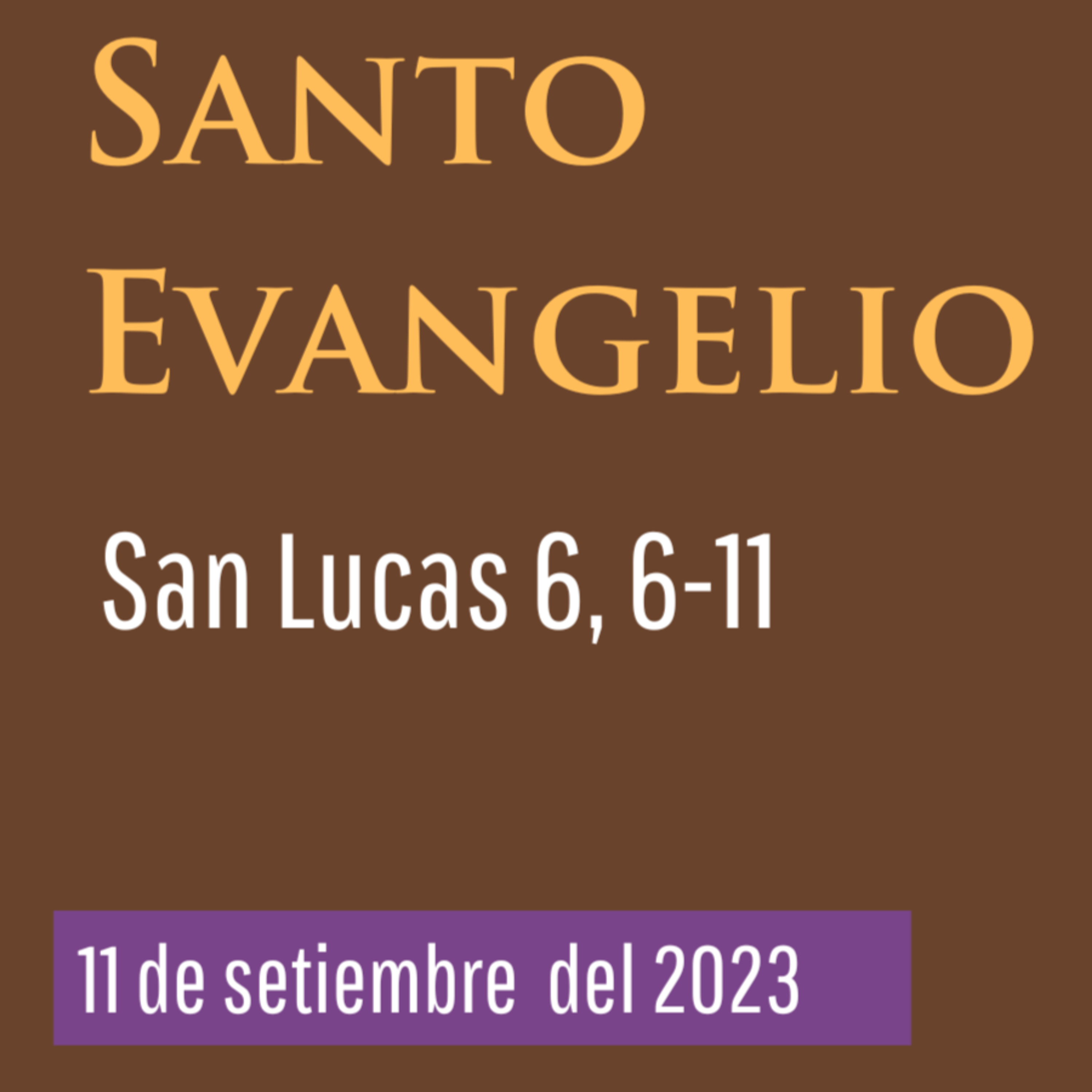Evangelio y Reflexiones diarias