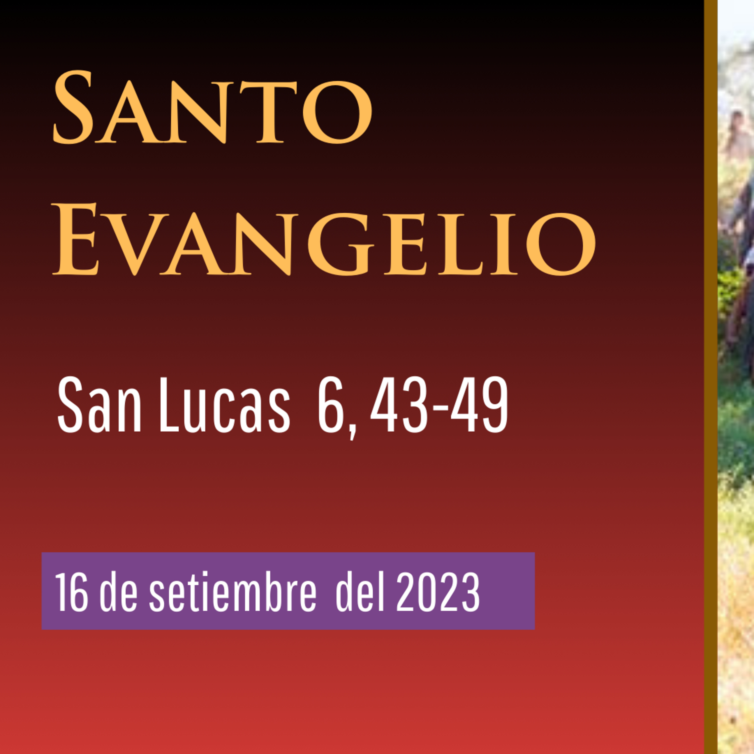 Evangelio y Reflexiones diarias