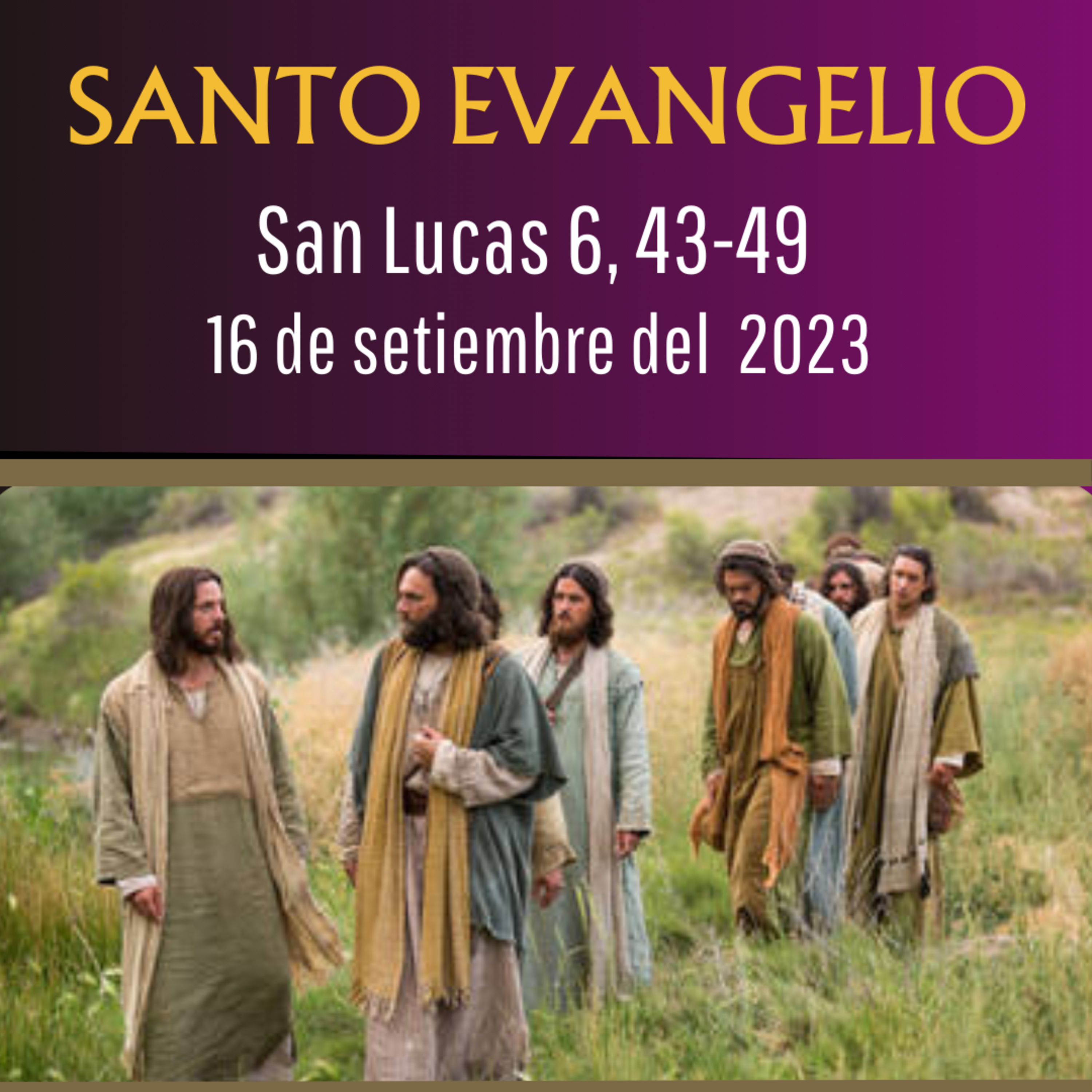 Evangelio y Reflexiones diarias