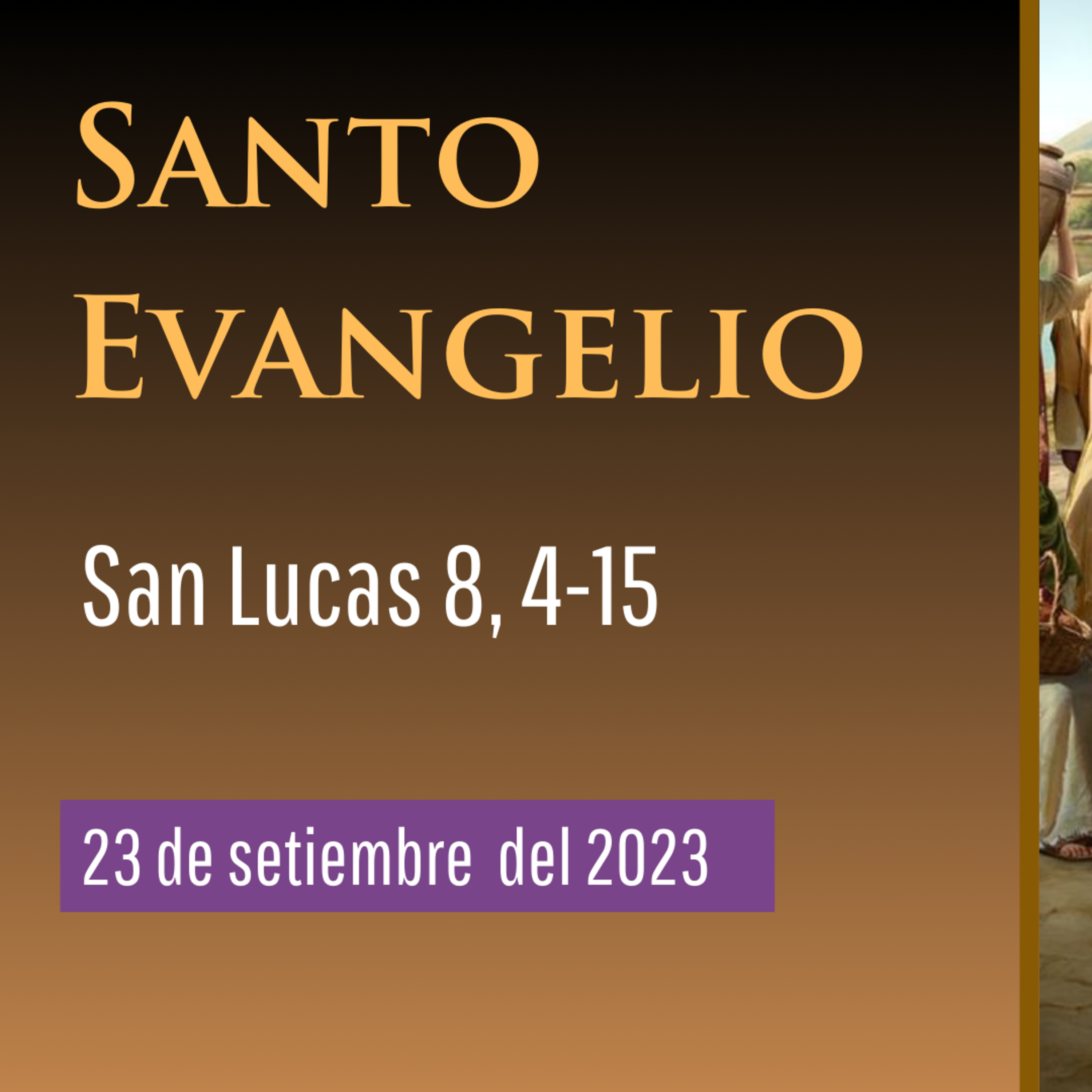Evangelio y Reflexiones diarias