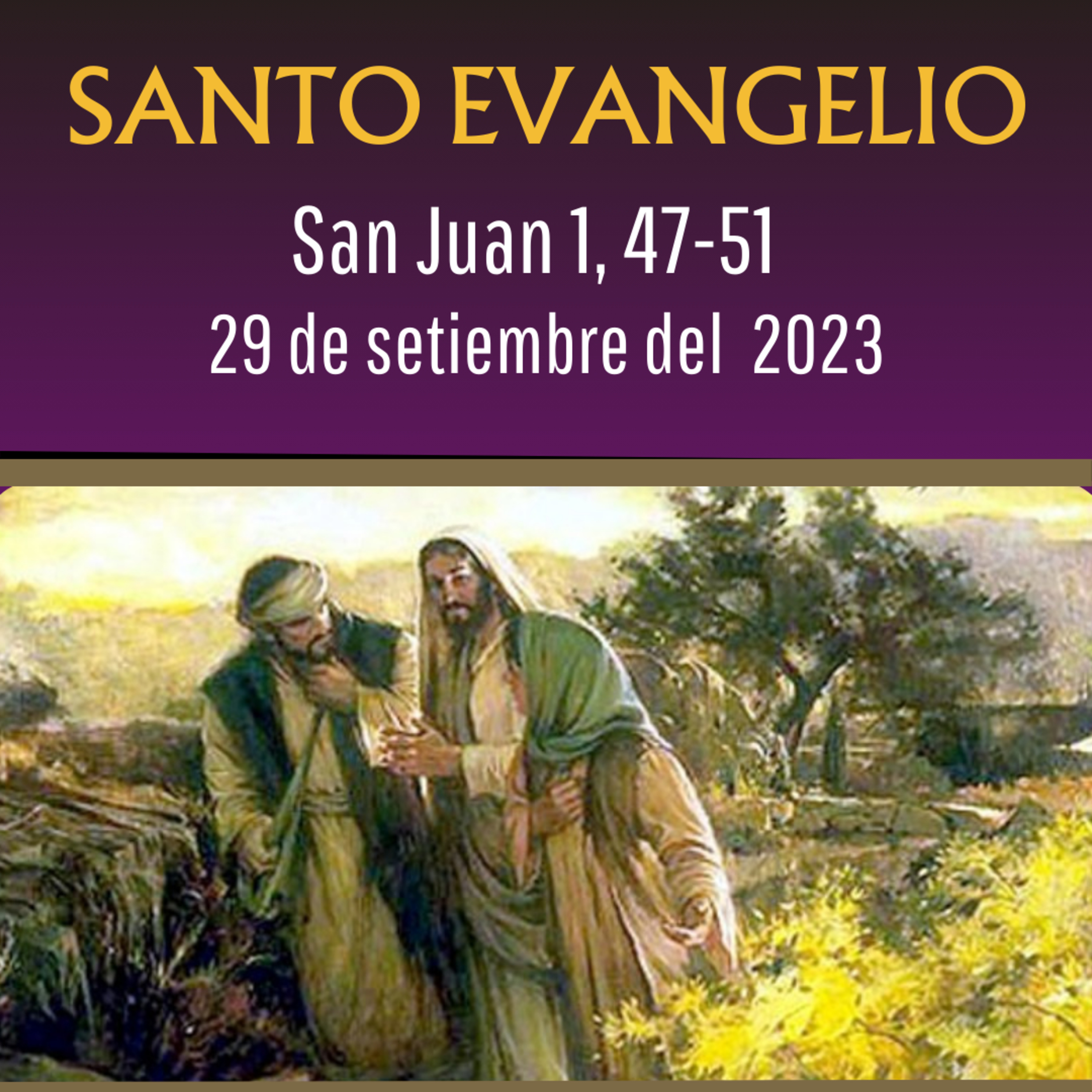 Evangelio y Reflexiones diarias