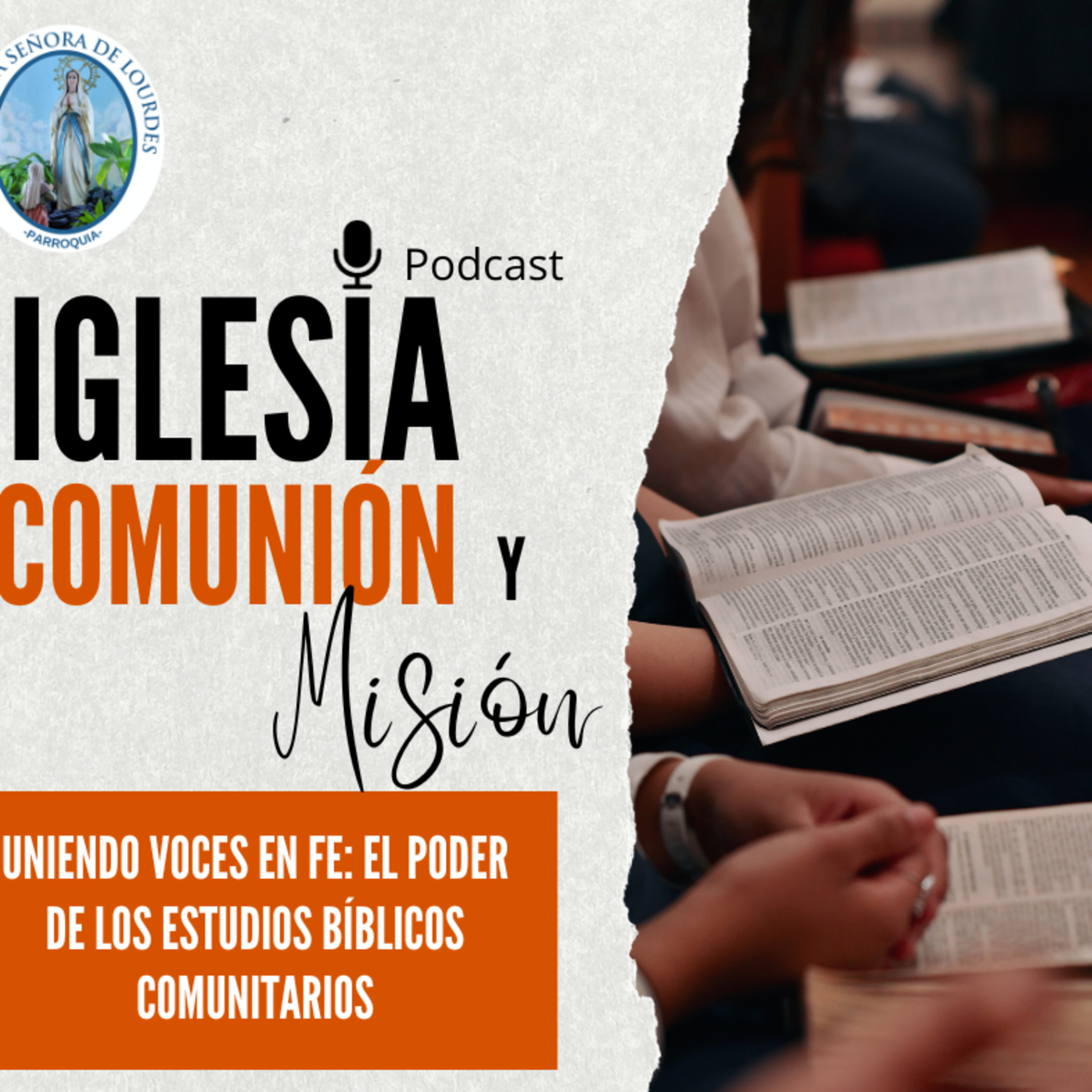 Portada de Evangelio y Reflexiones diarias