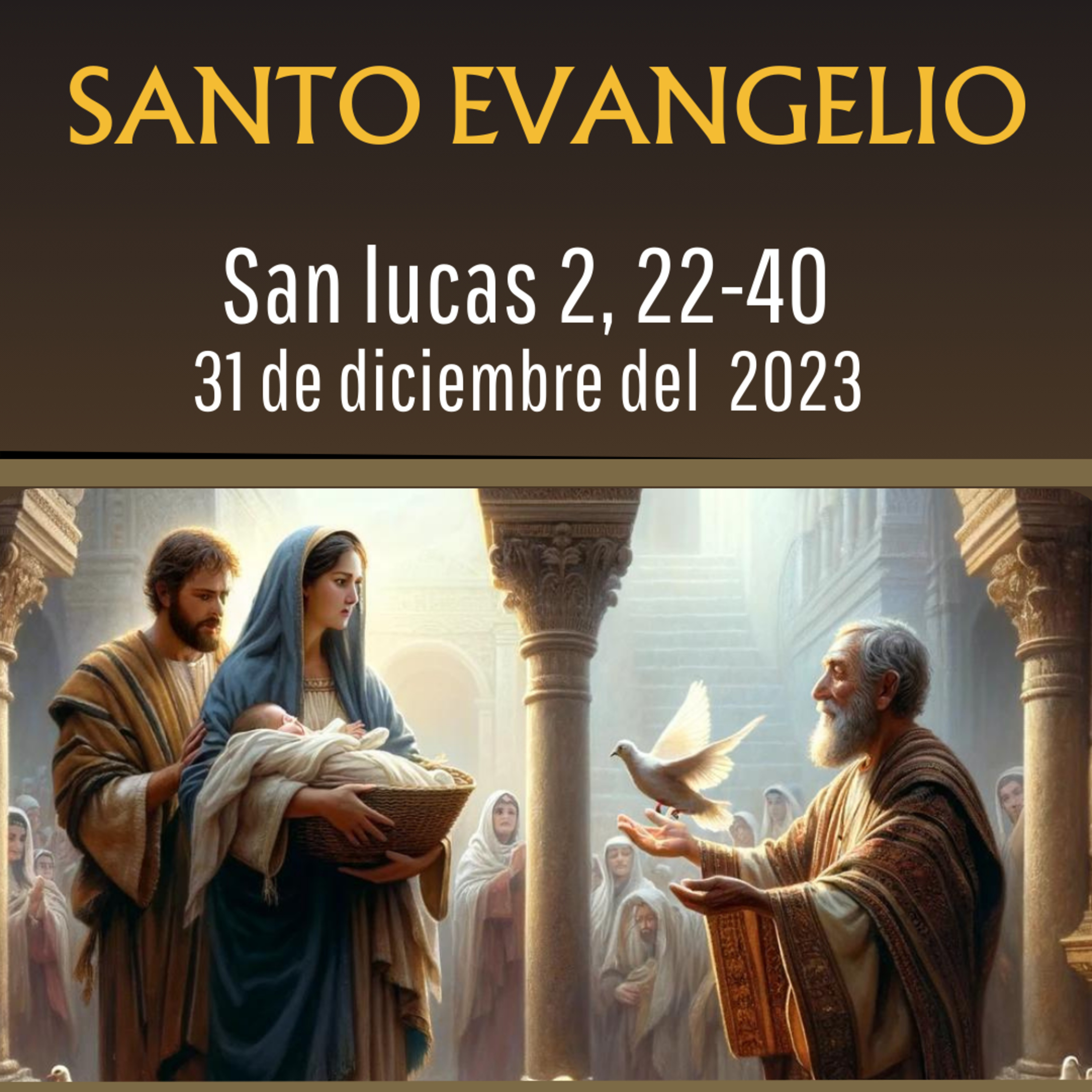 Evangelio y Reflexiones diarias