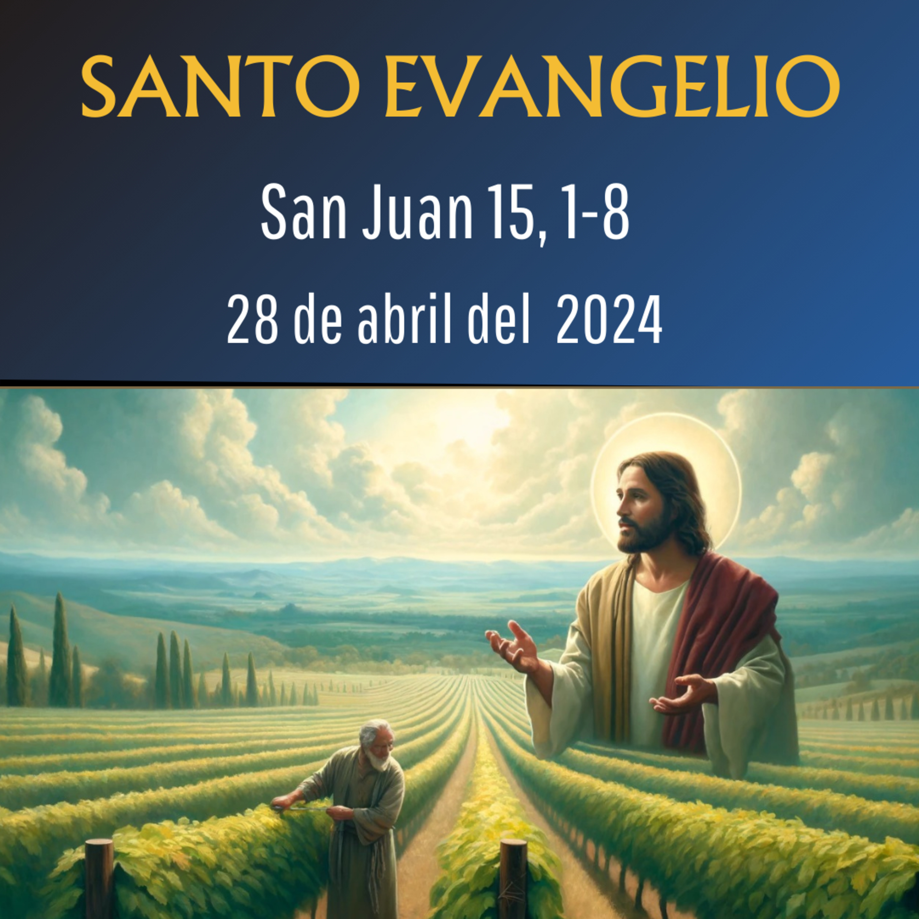 Evangelio y Reflexiones diarias